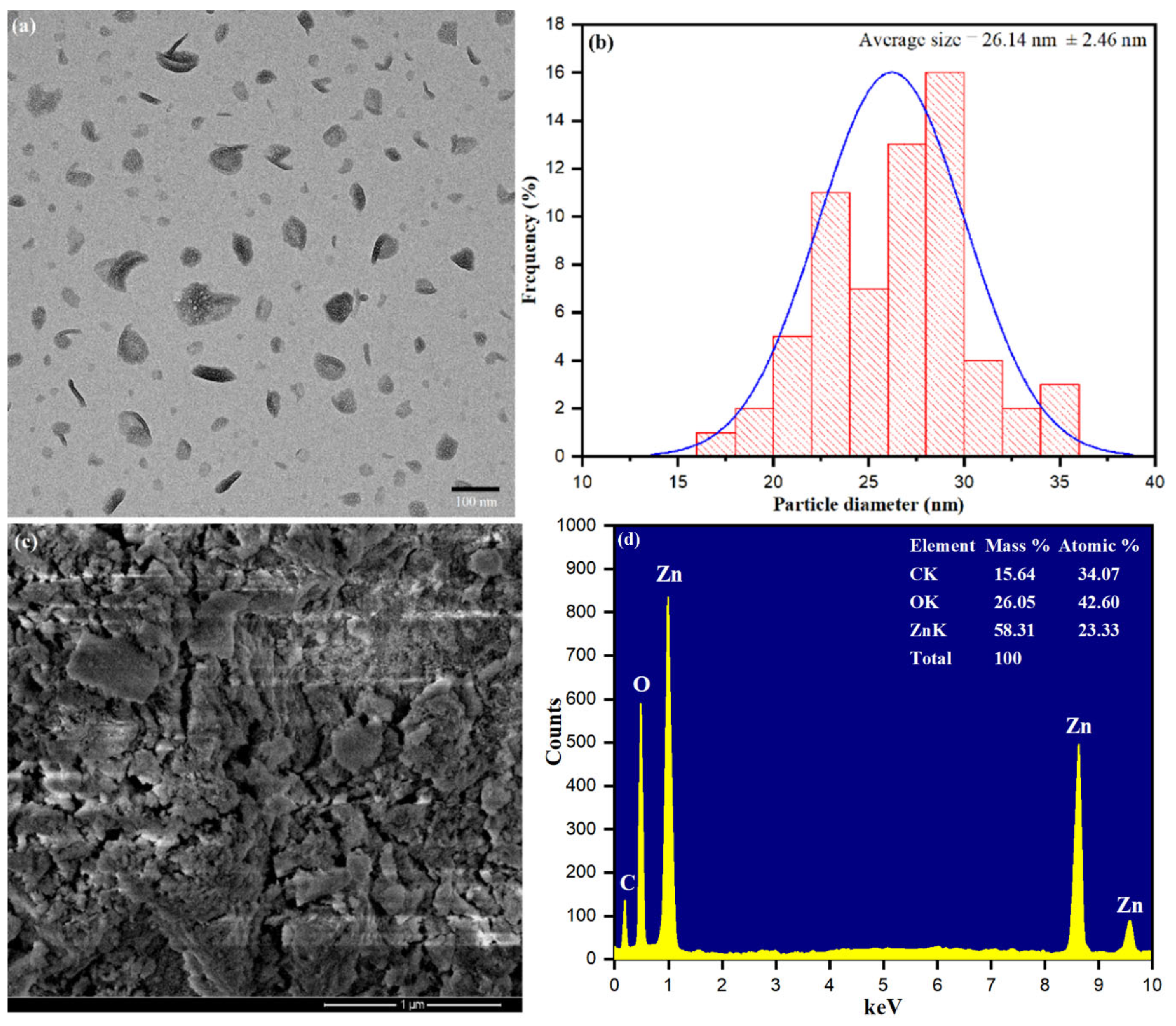Biology 10 01075 g005