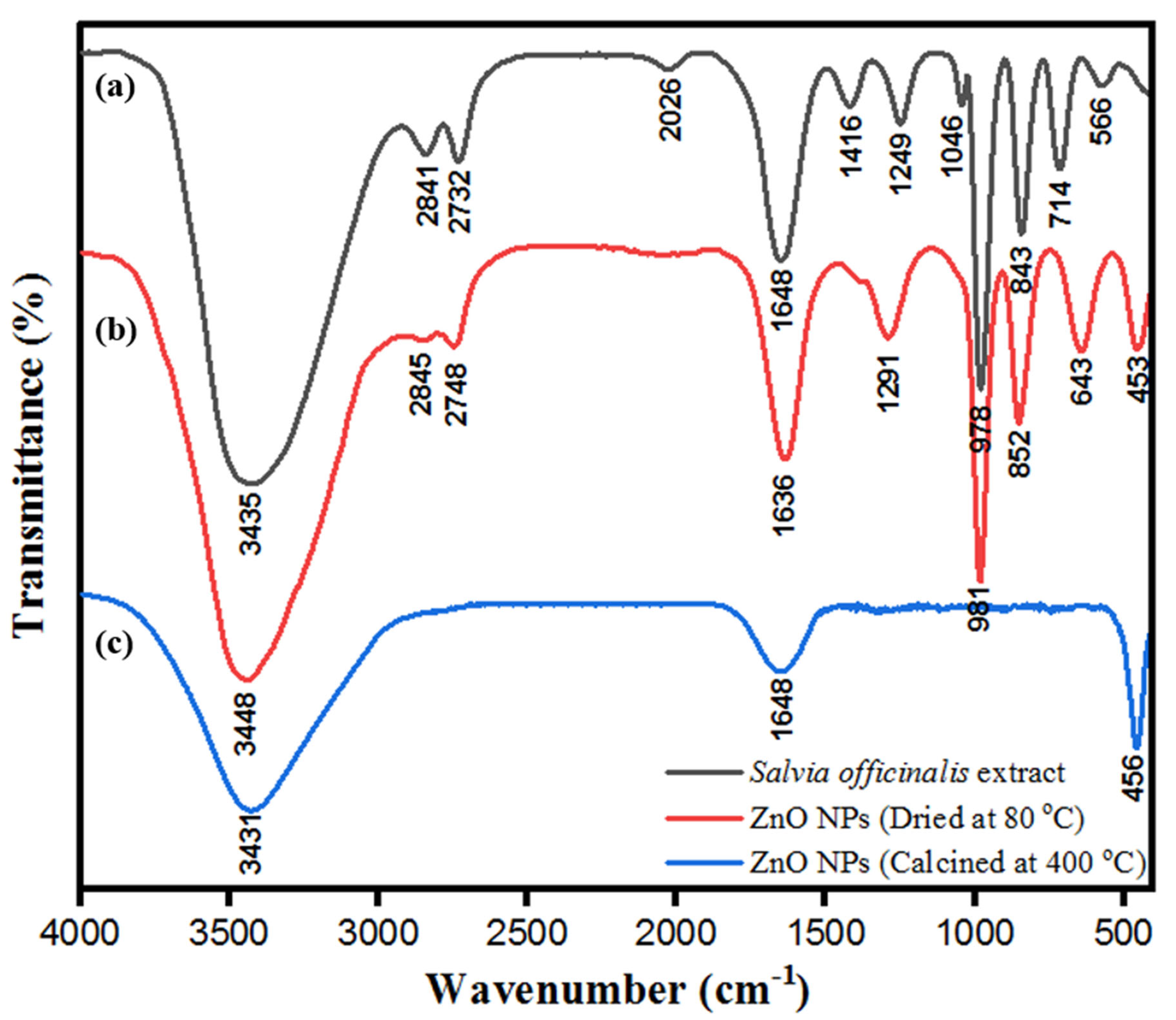 Biology 10 01075 g007