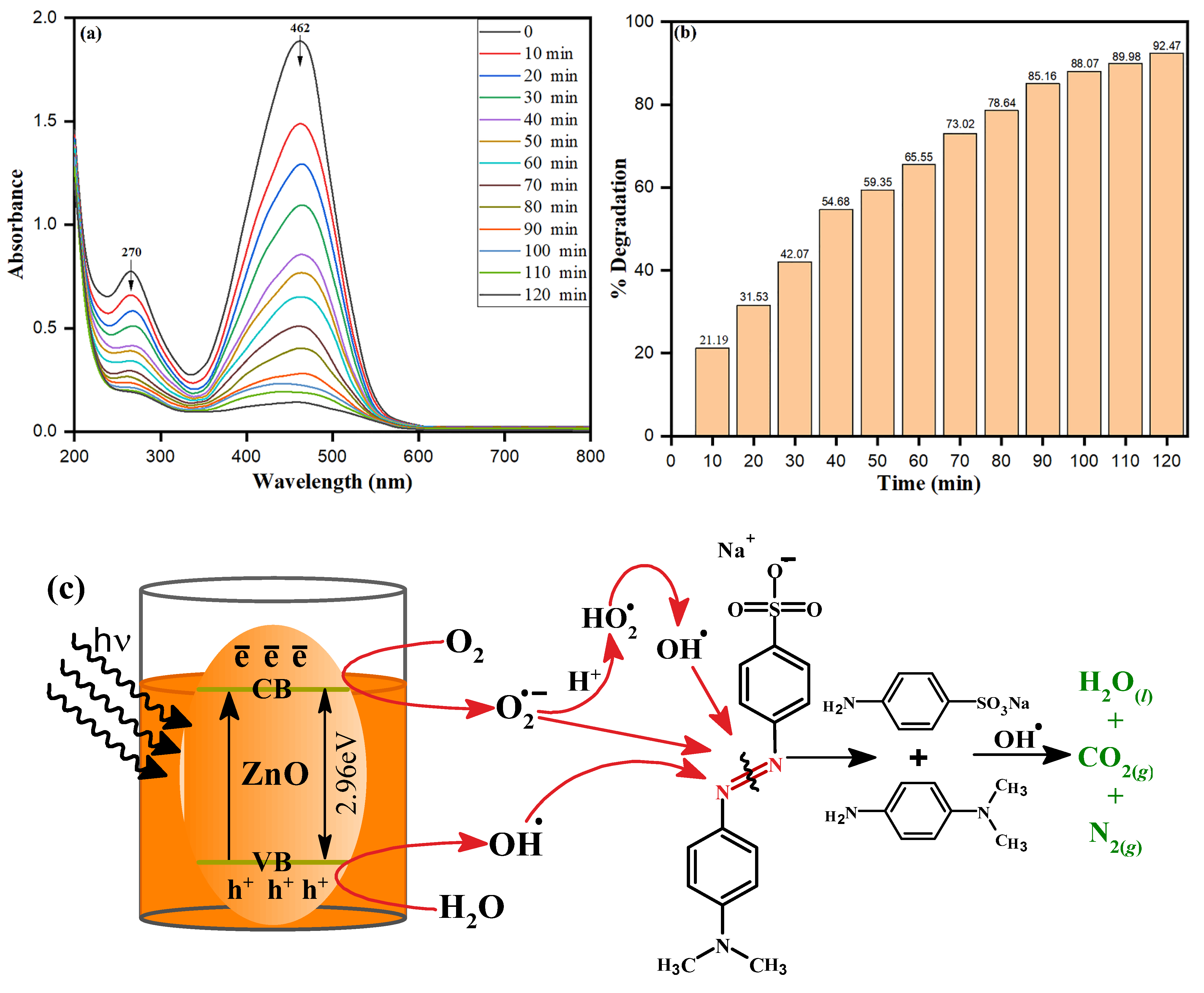 Biology 10 01075 g011