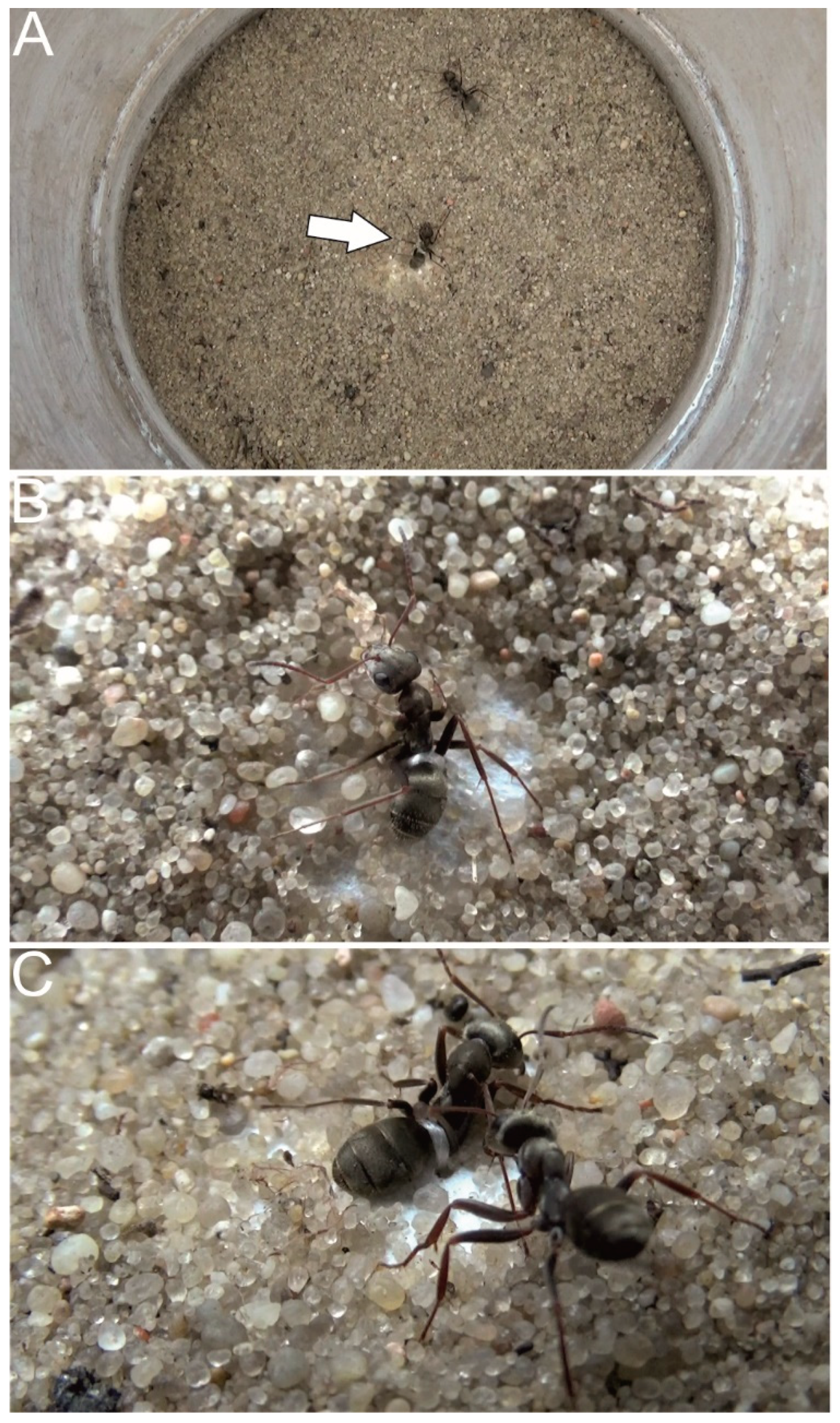 Biology 10 01079 g002