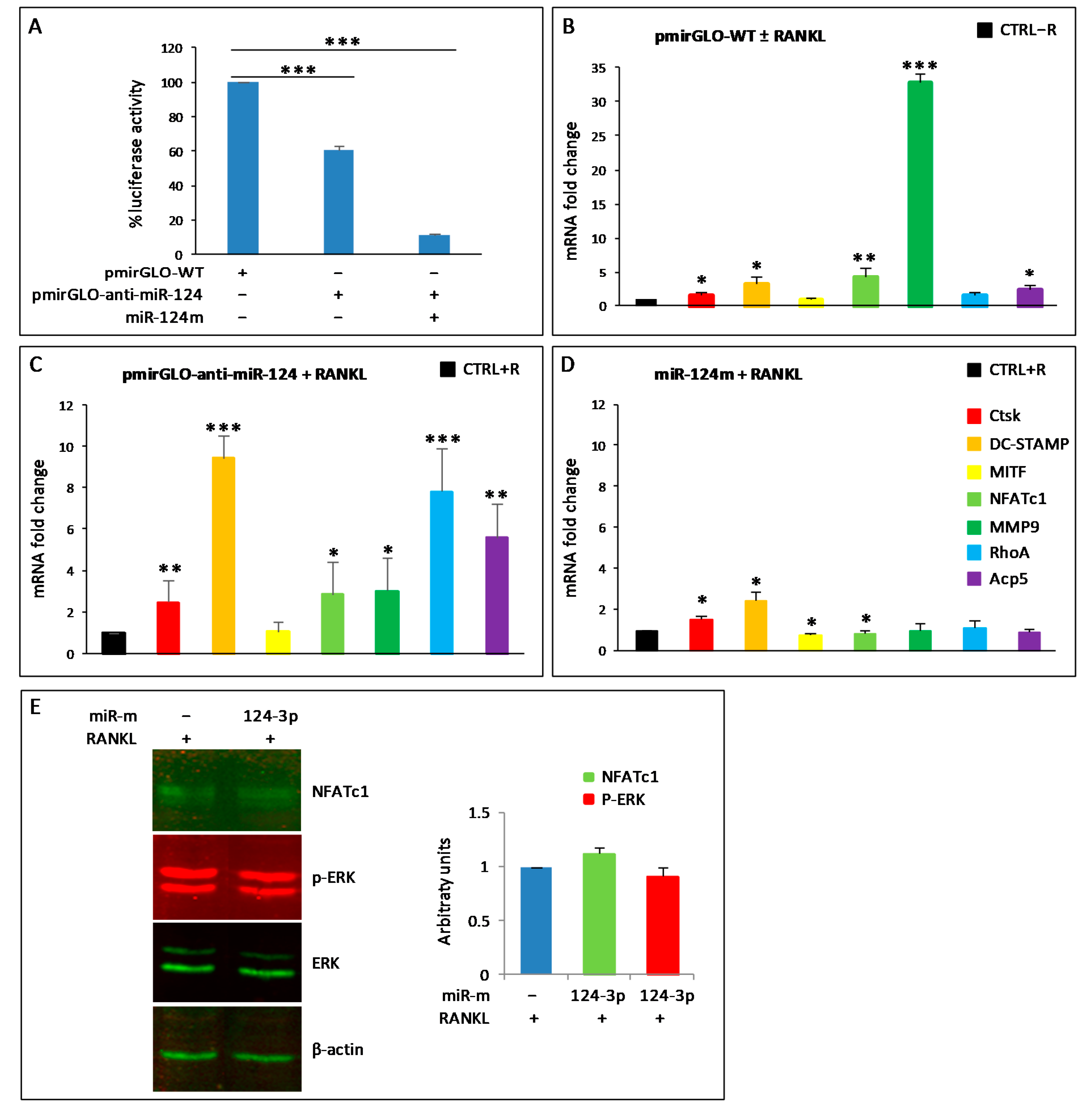 Biology 10 01080 g003