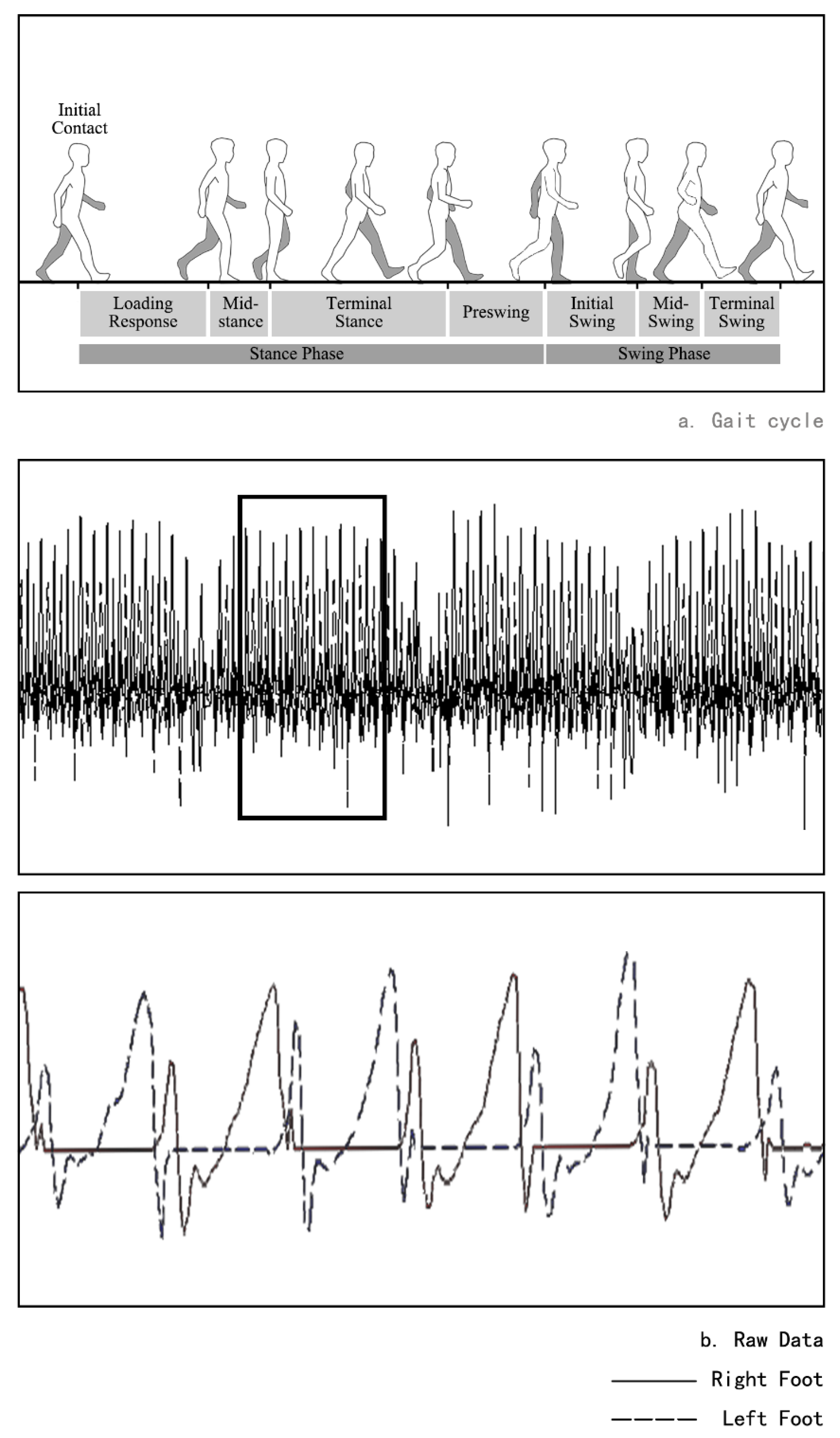 Biology 10 01083 g004