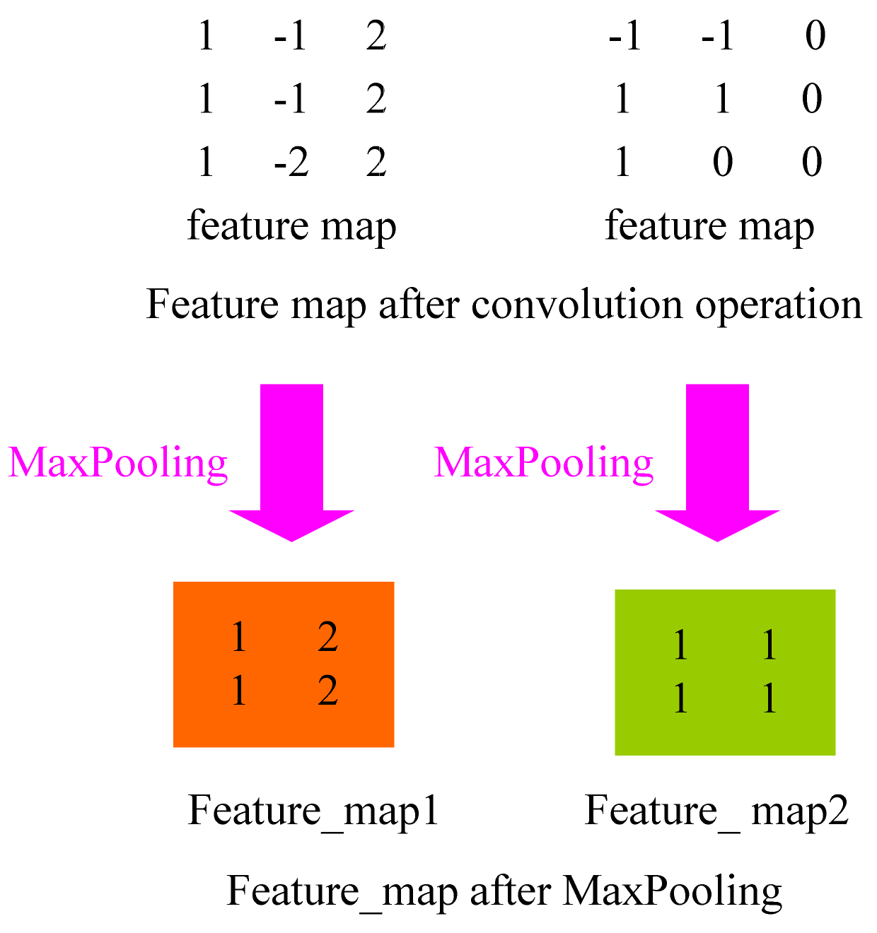 Biology 10 01084 g008 550