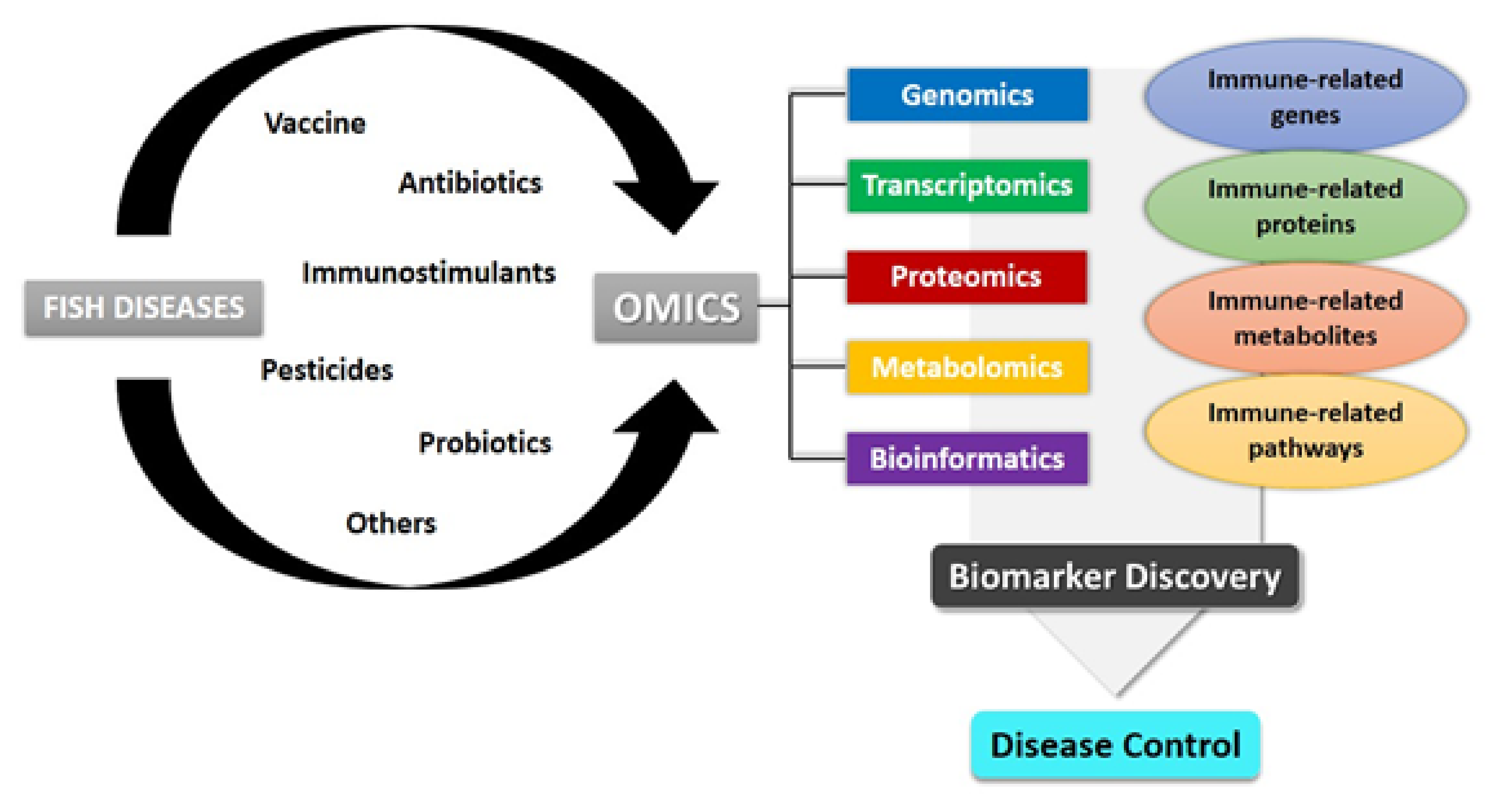 Biology 10 01086 g001