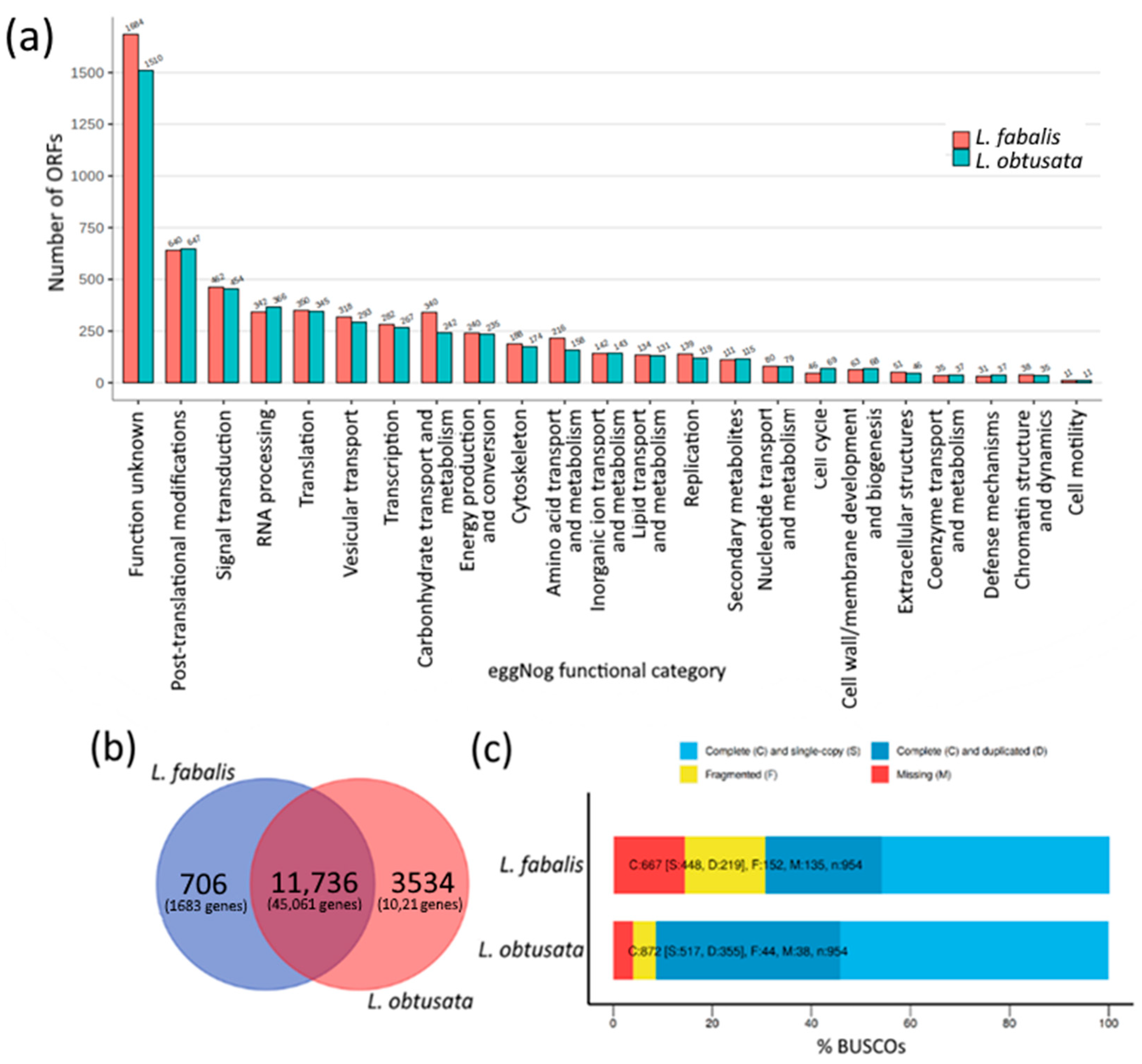 Biology 10 01087 g001 Biology 10 01087 g001