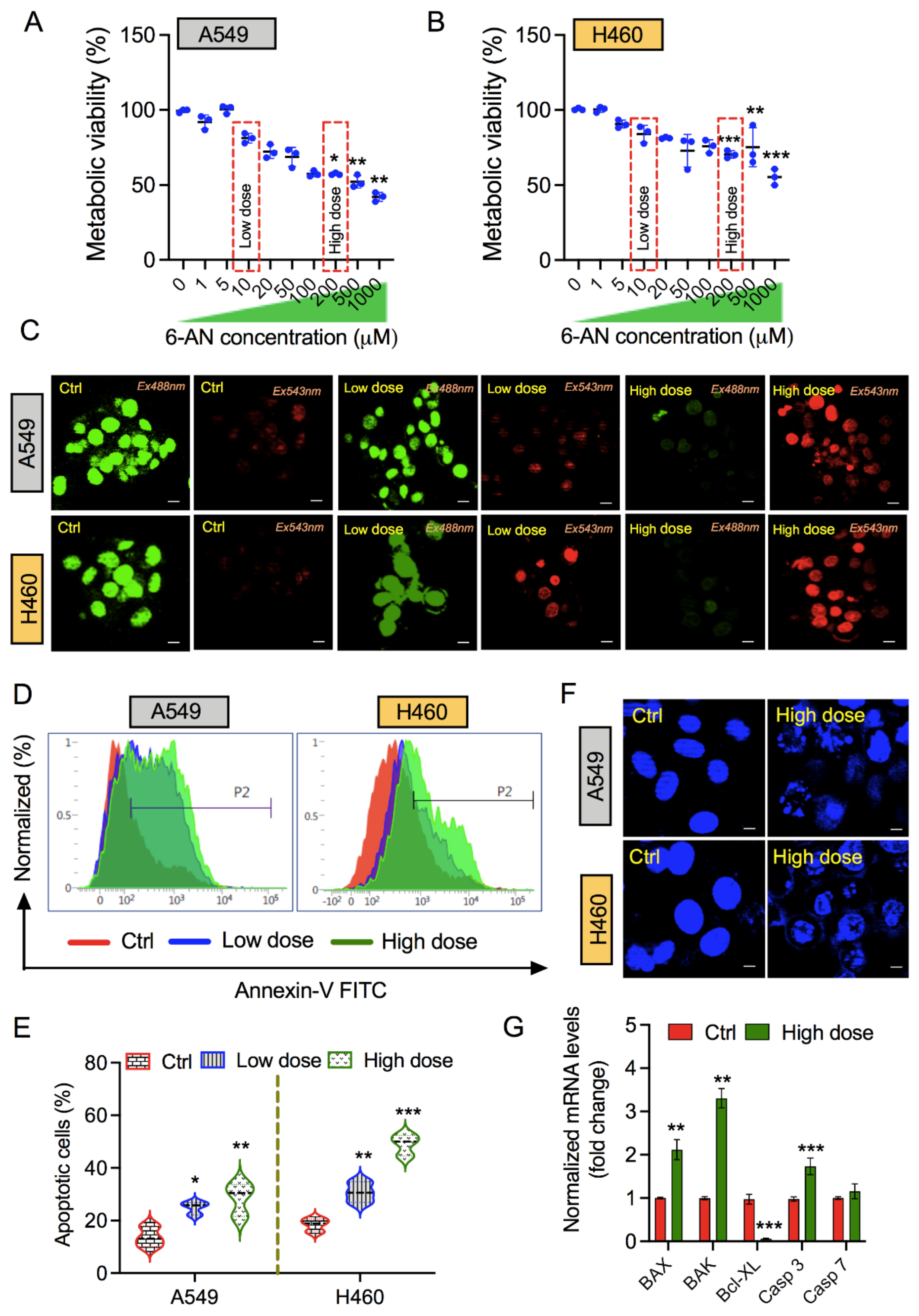 Biology 10 01088 g001