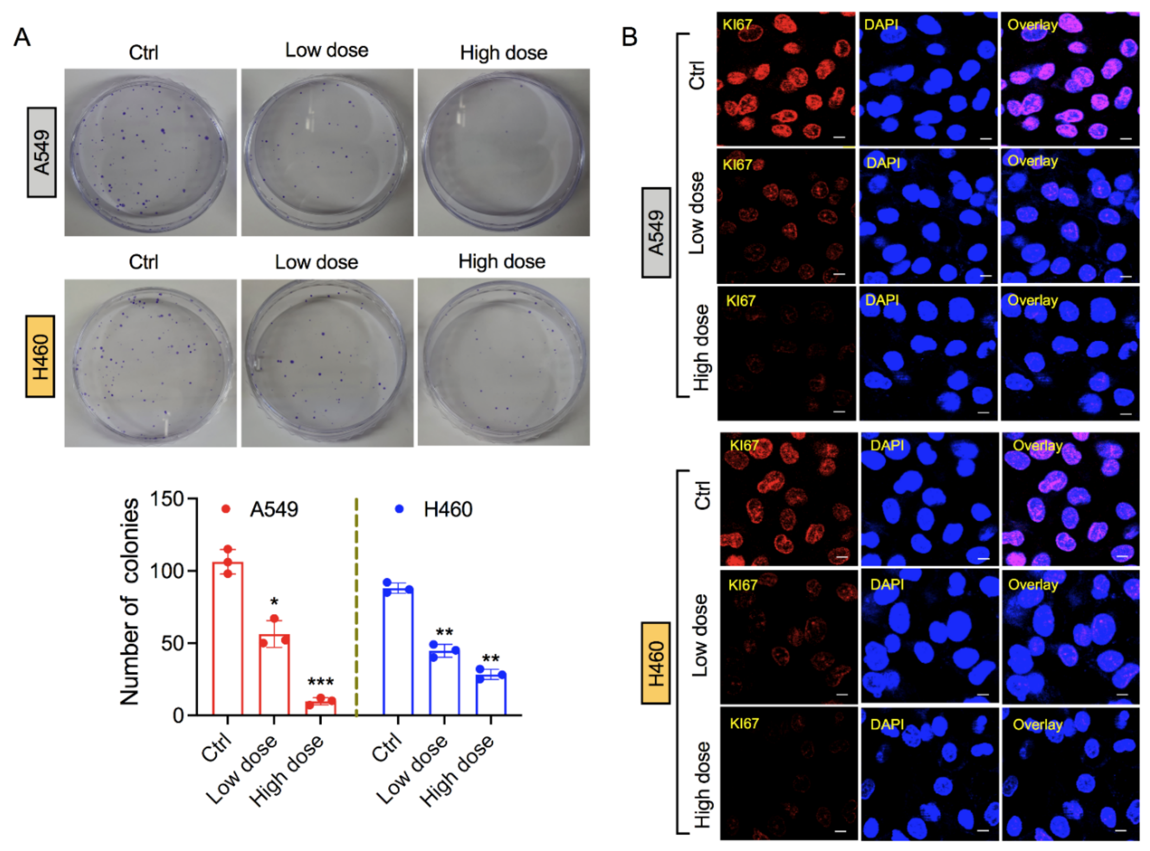 Biology 10 01088 g002