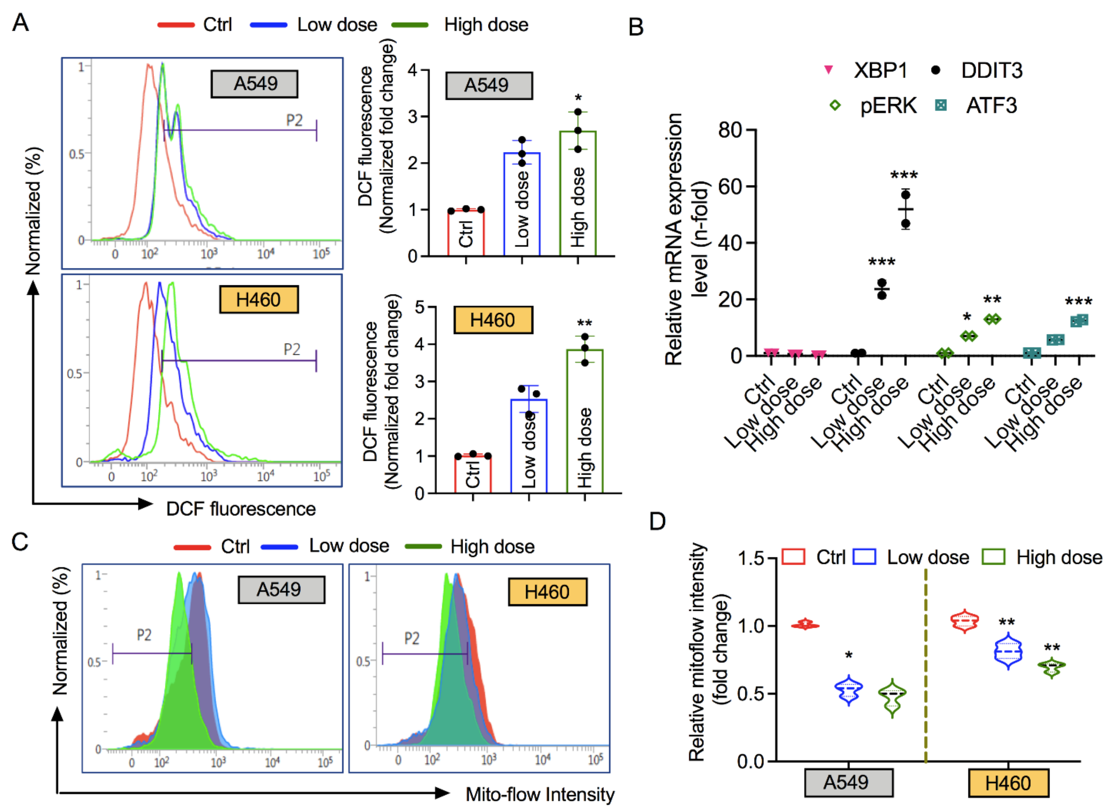 Biology 10 01088 g004