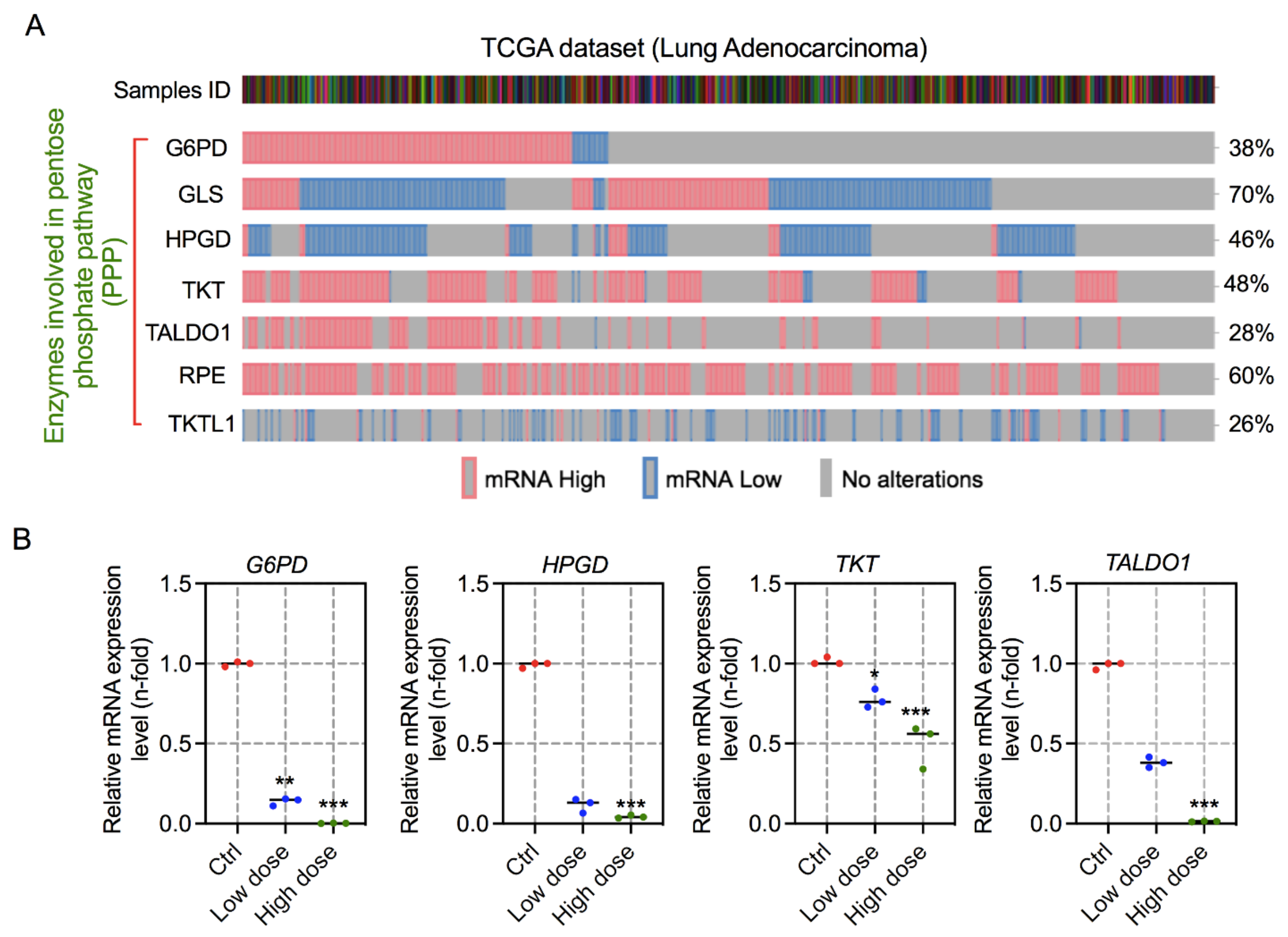 Biology 10 01088 g005