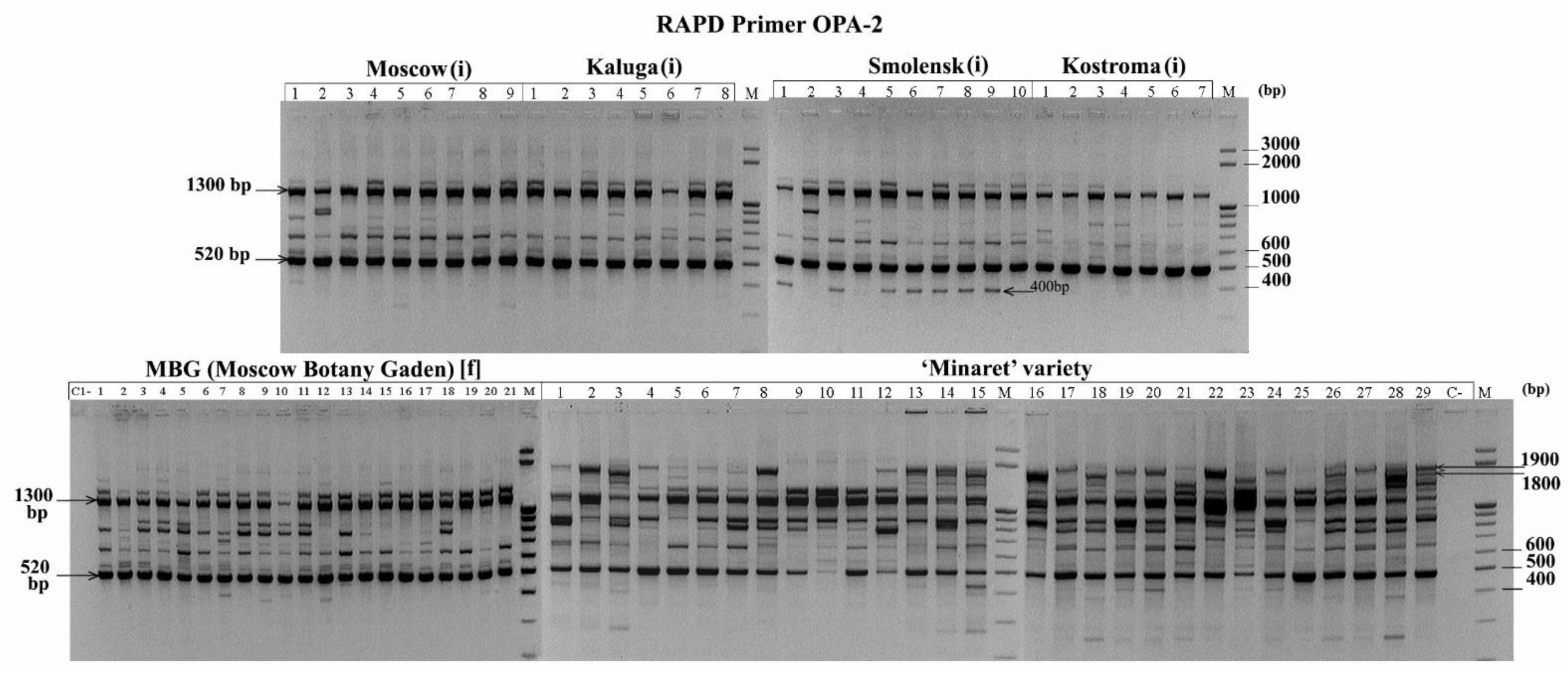 Biology 10 01094 g001 550