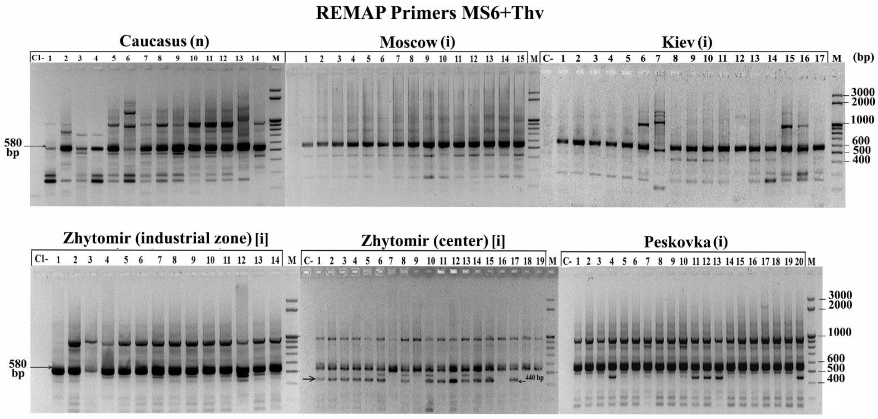 Biology 10 01094 g004 550