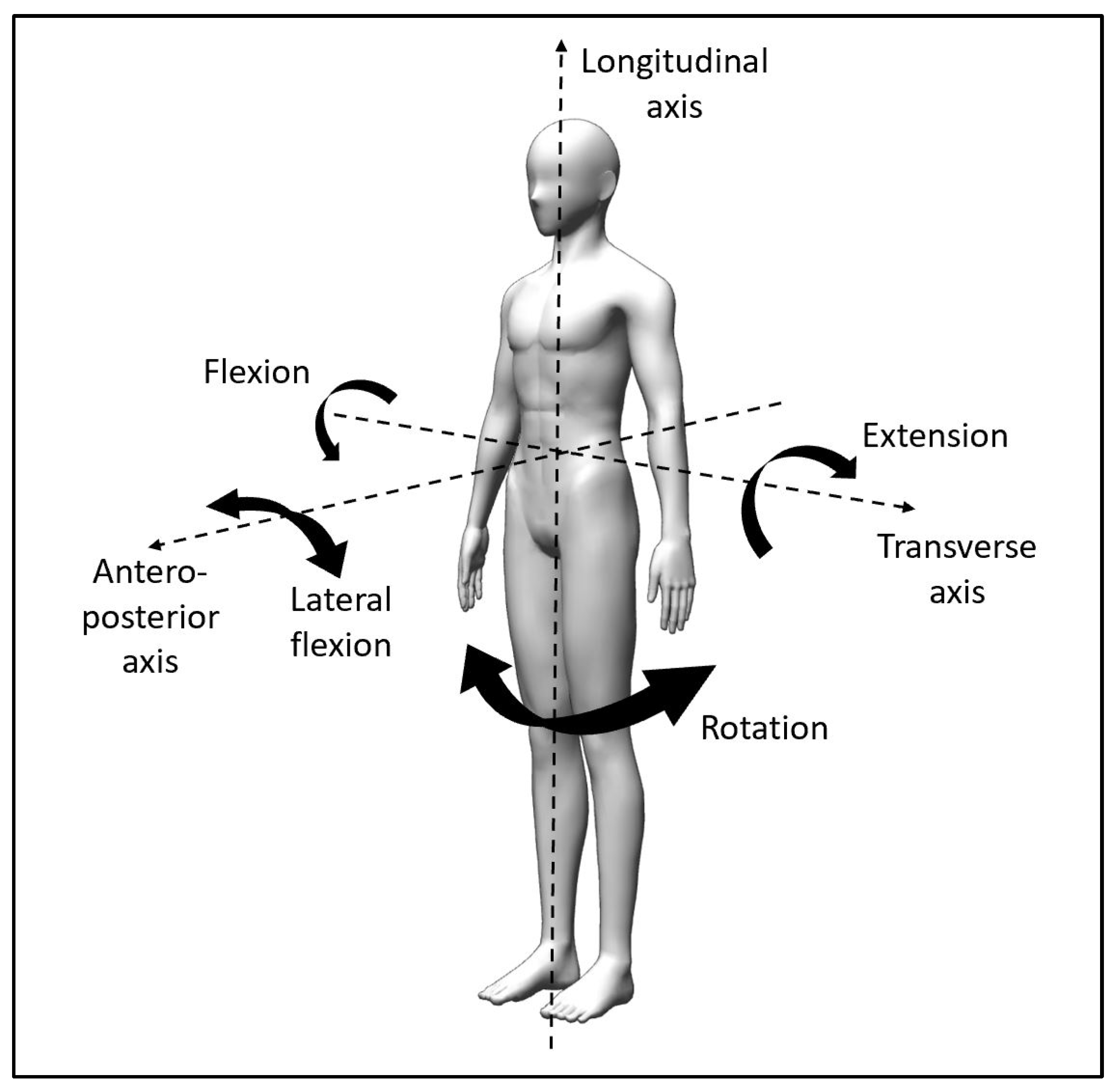 Biology 10 01096 g002 Biology 10 01096 g002