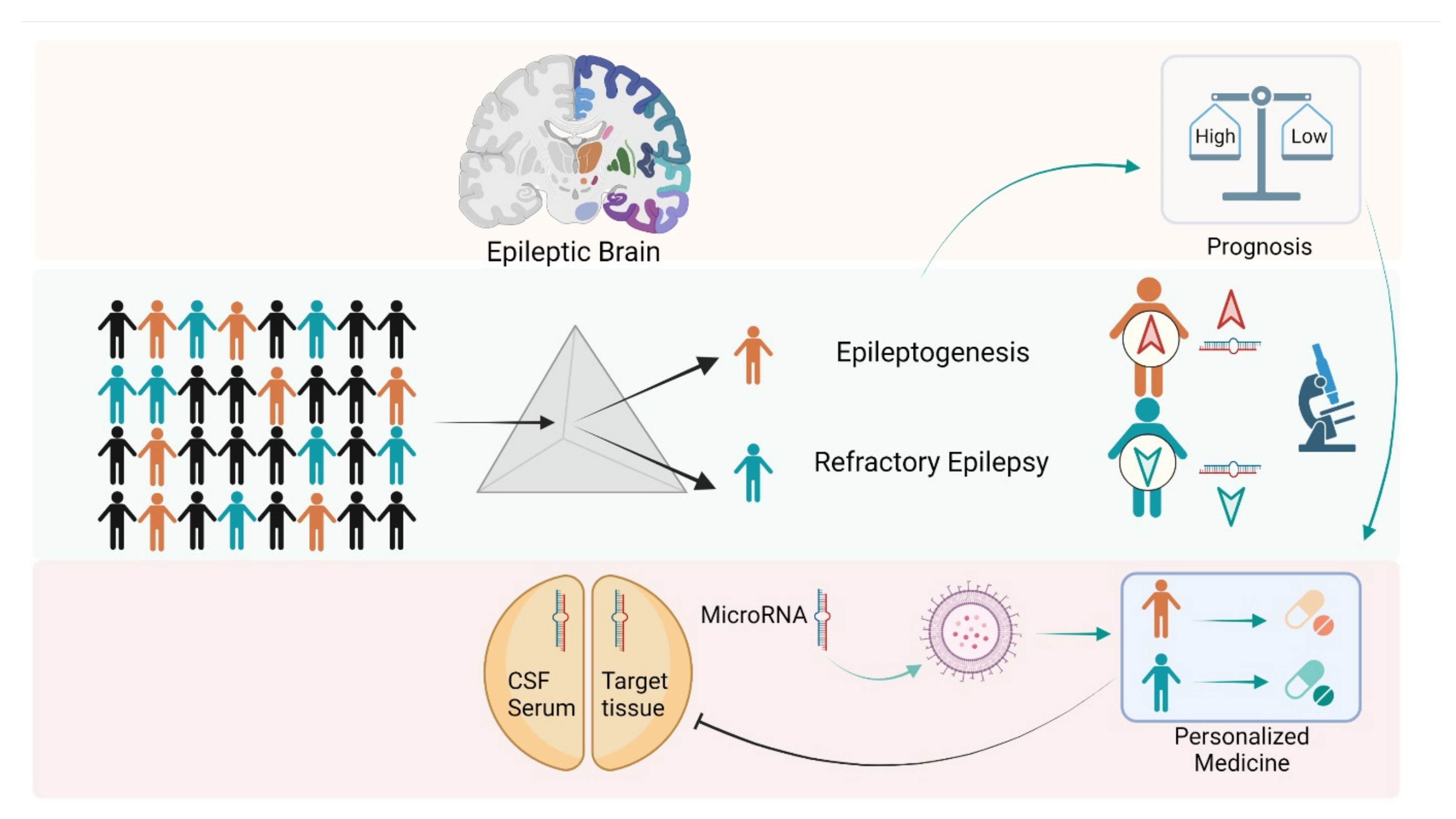 Biology 10 01097 g002 Biology 10 01097 g002