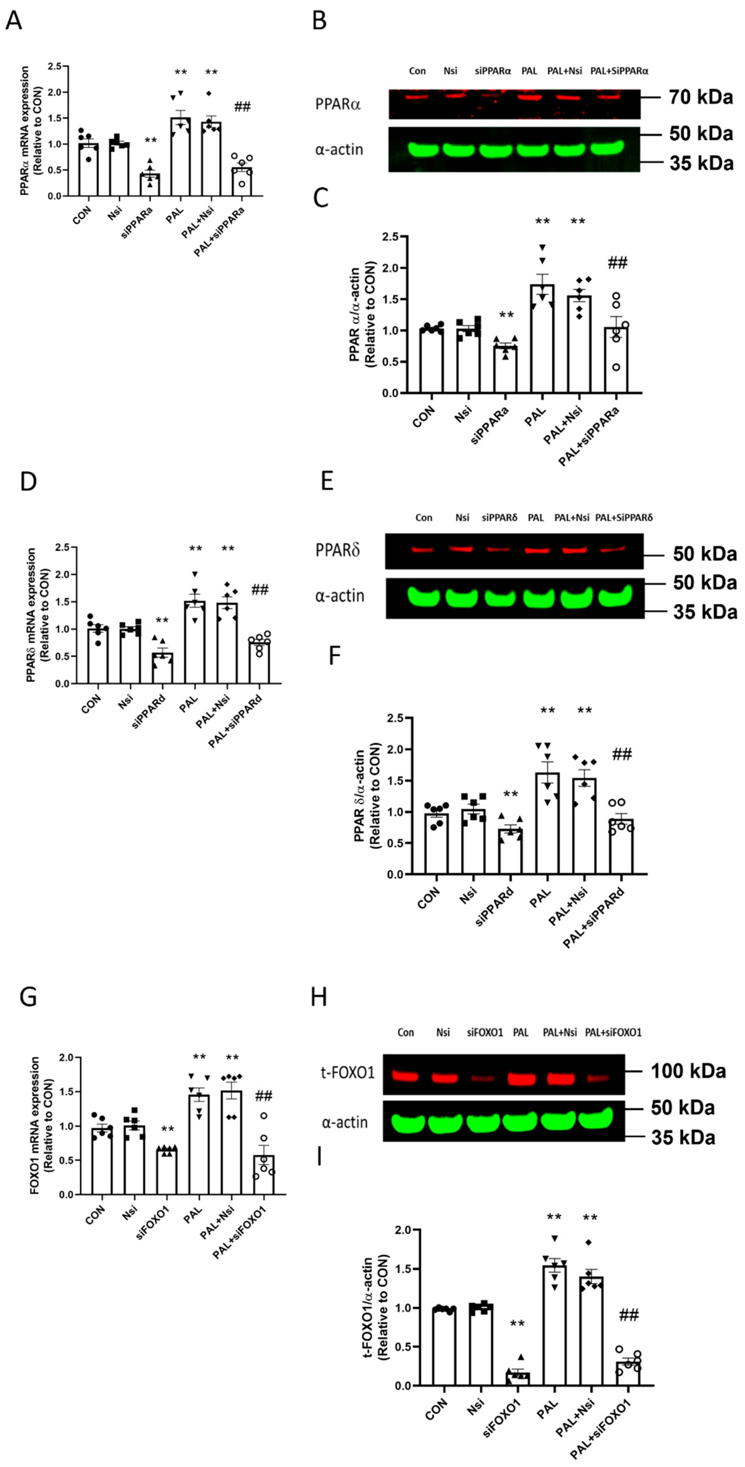 Biology 10 01098 g001