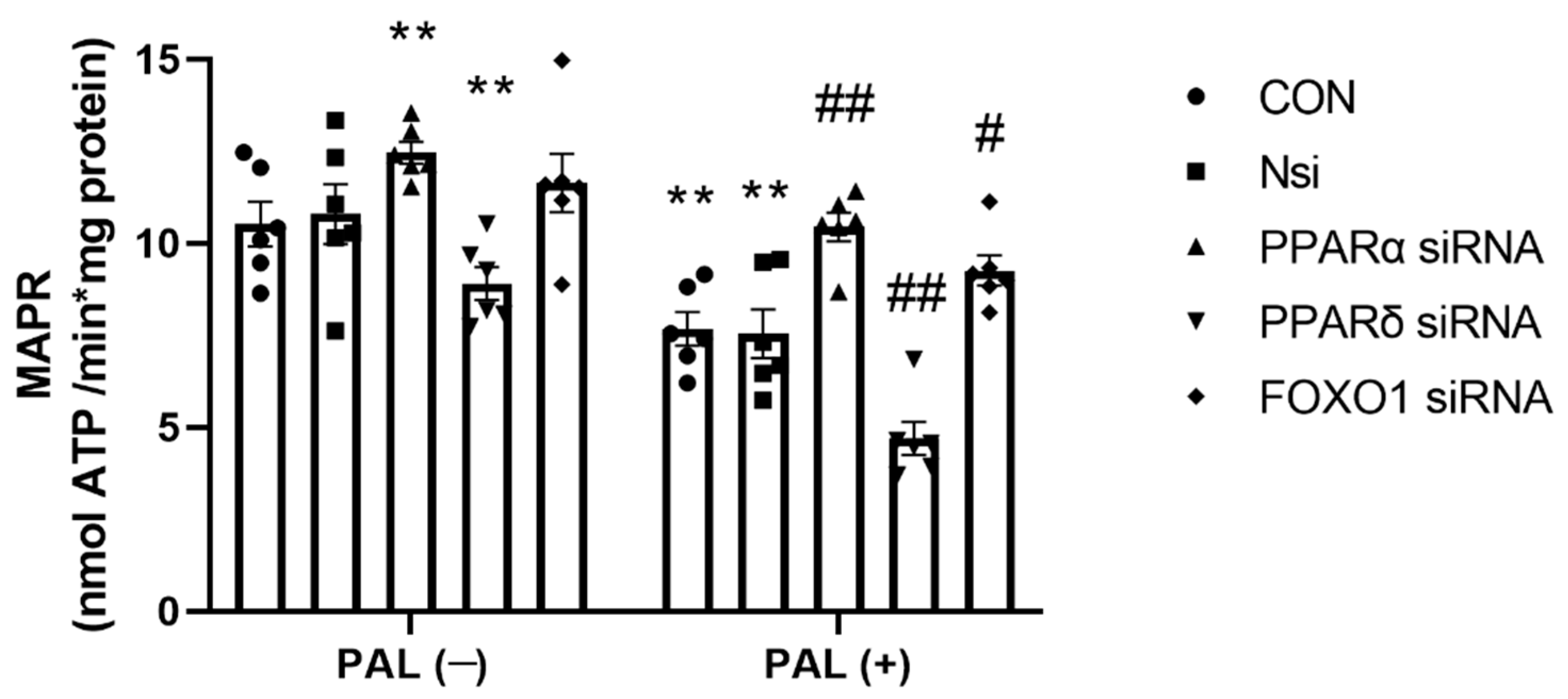 Biology 10 01098 g004
