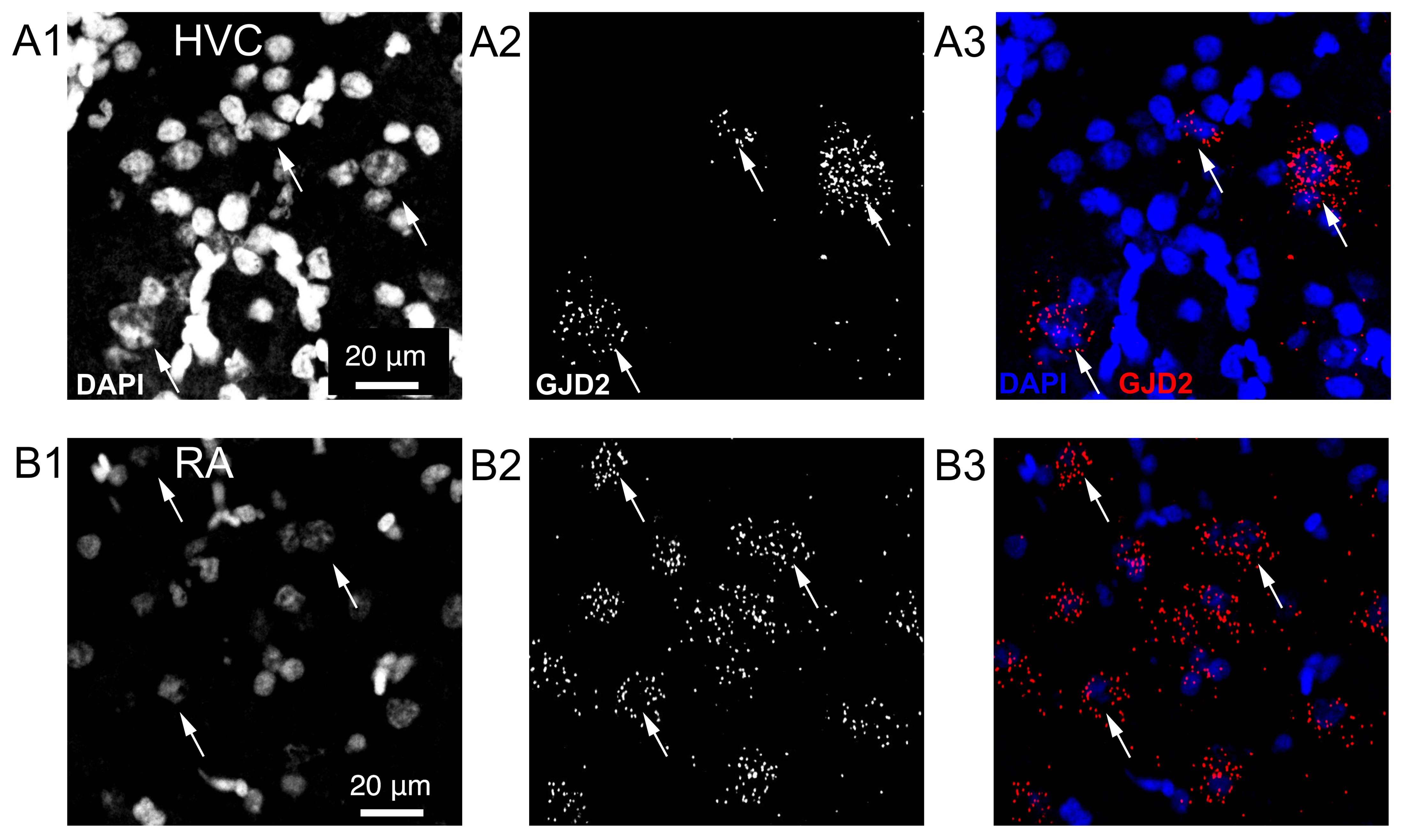 Biology 10 01099 g002