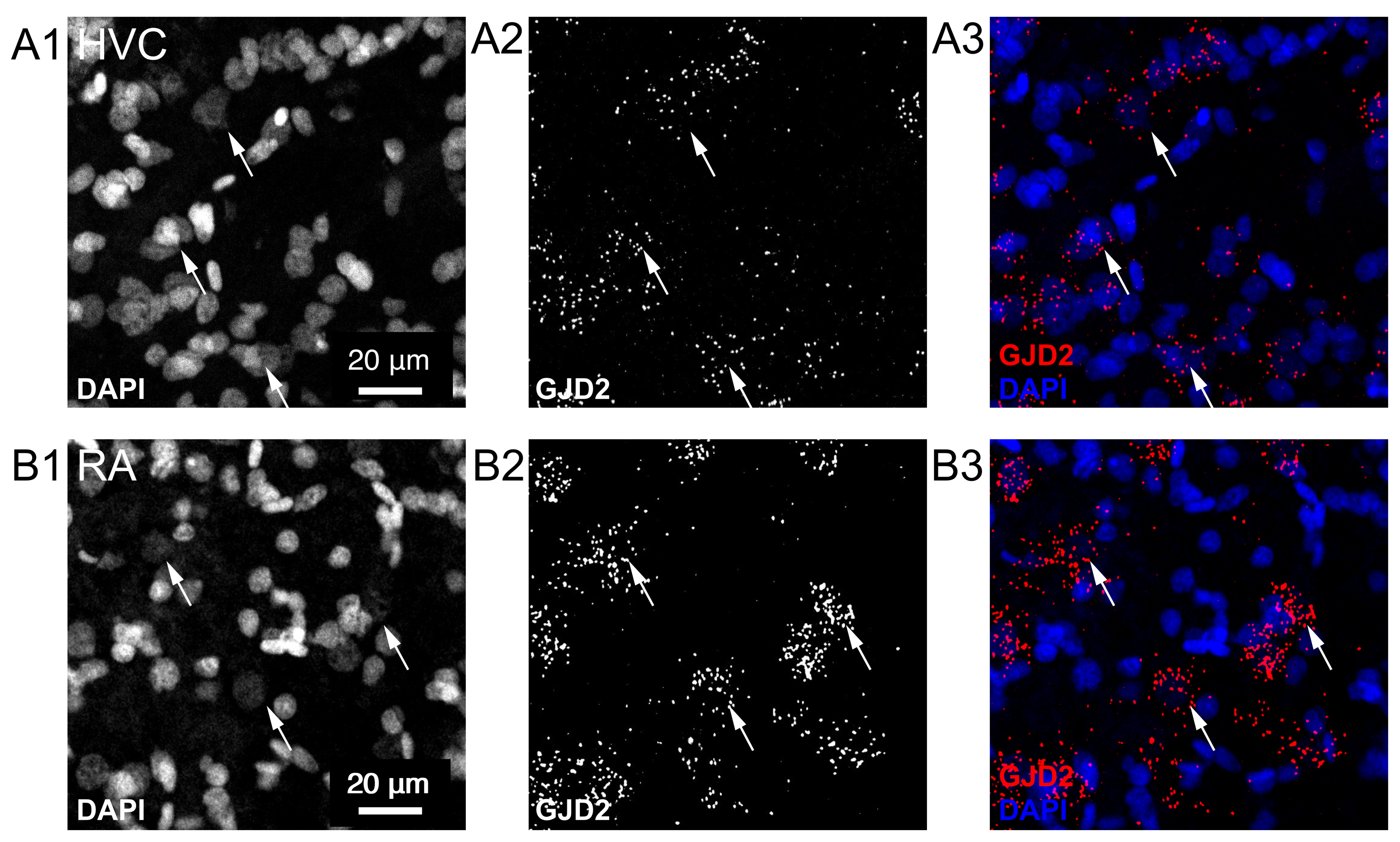 Biology 10 01099 g003
