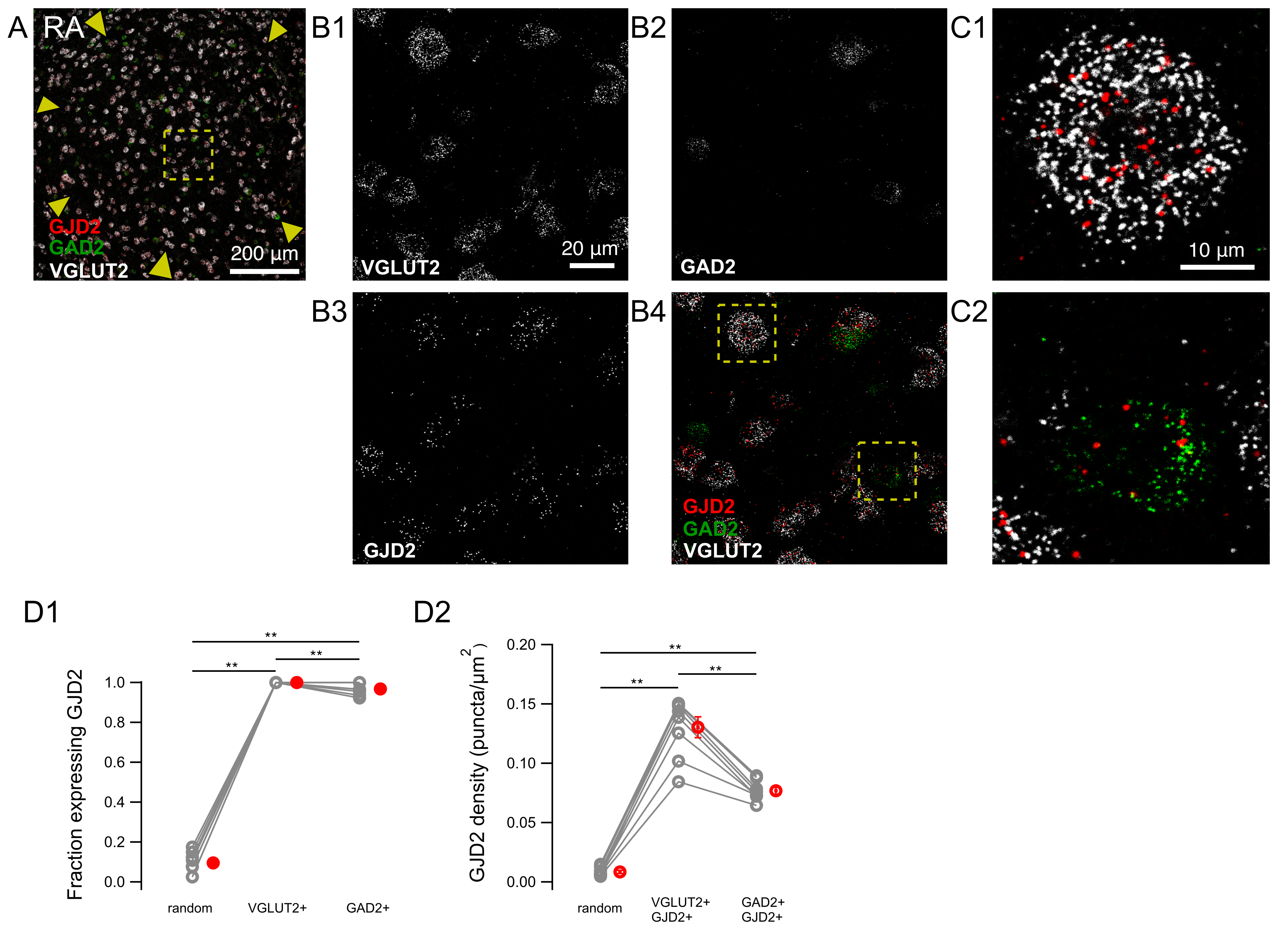 Biology 10 01099 g005