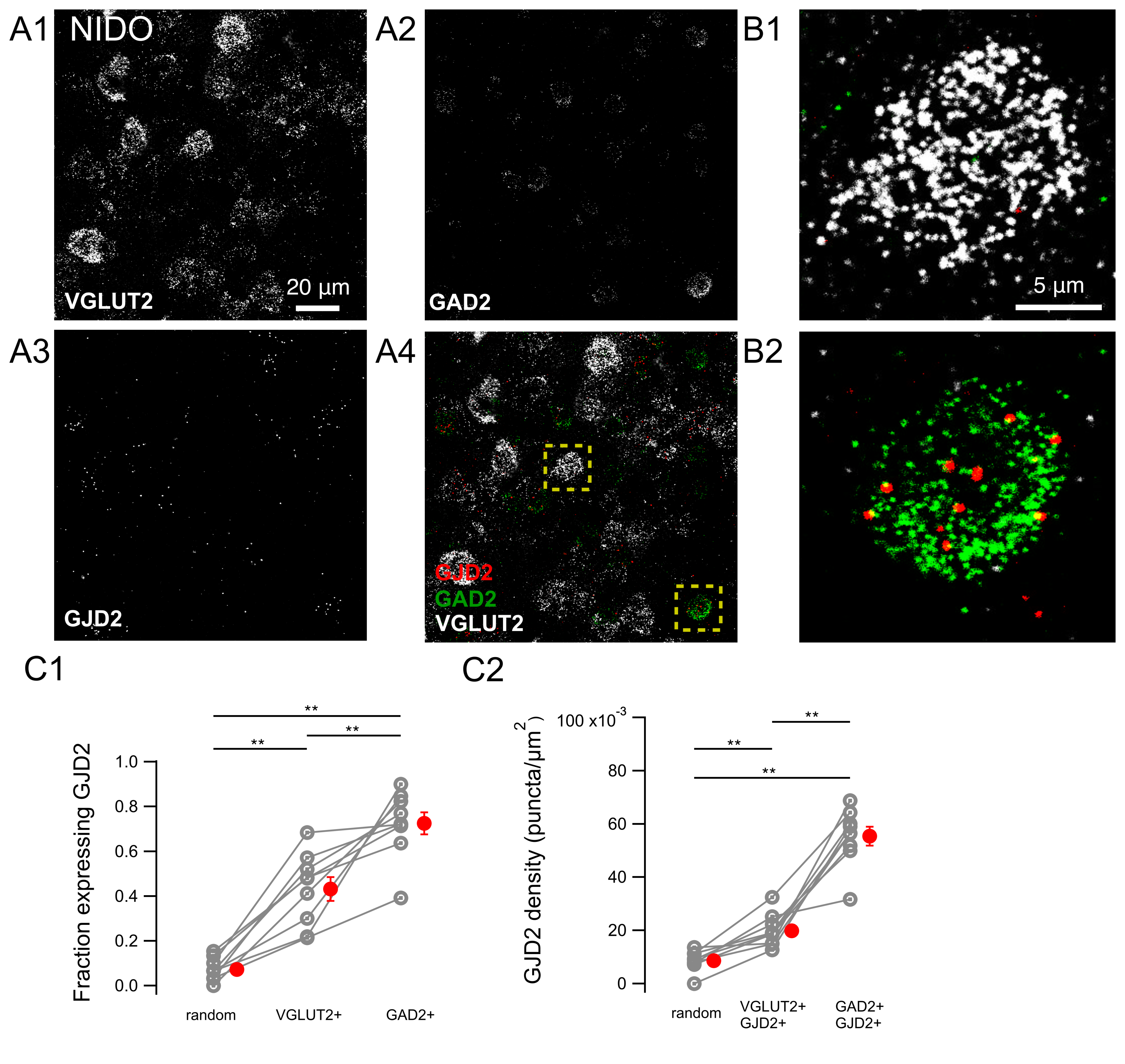 Biology 10 01099 g006