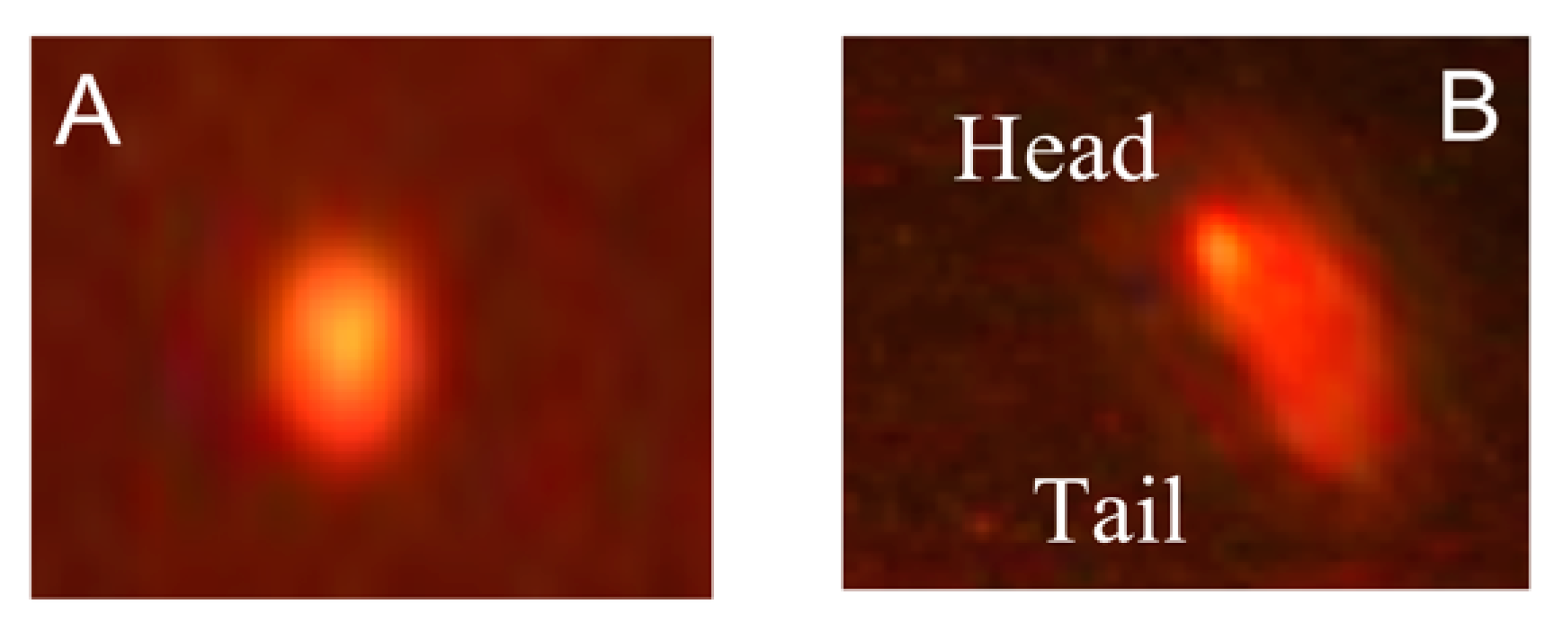 Biology 10 01100 g004