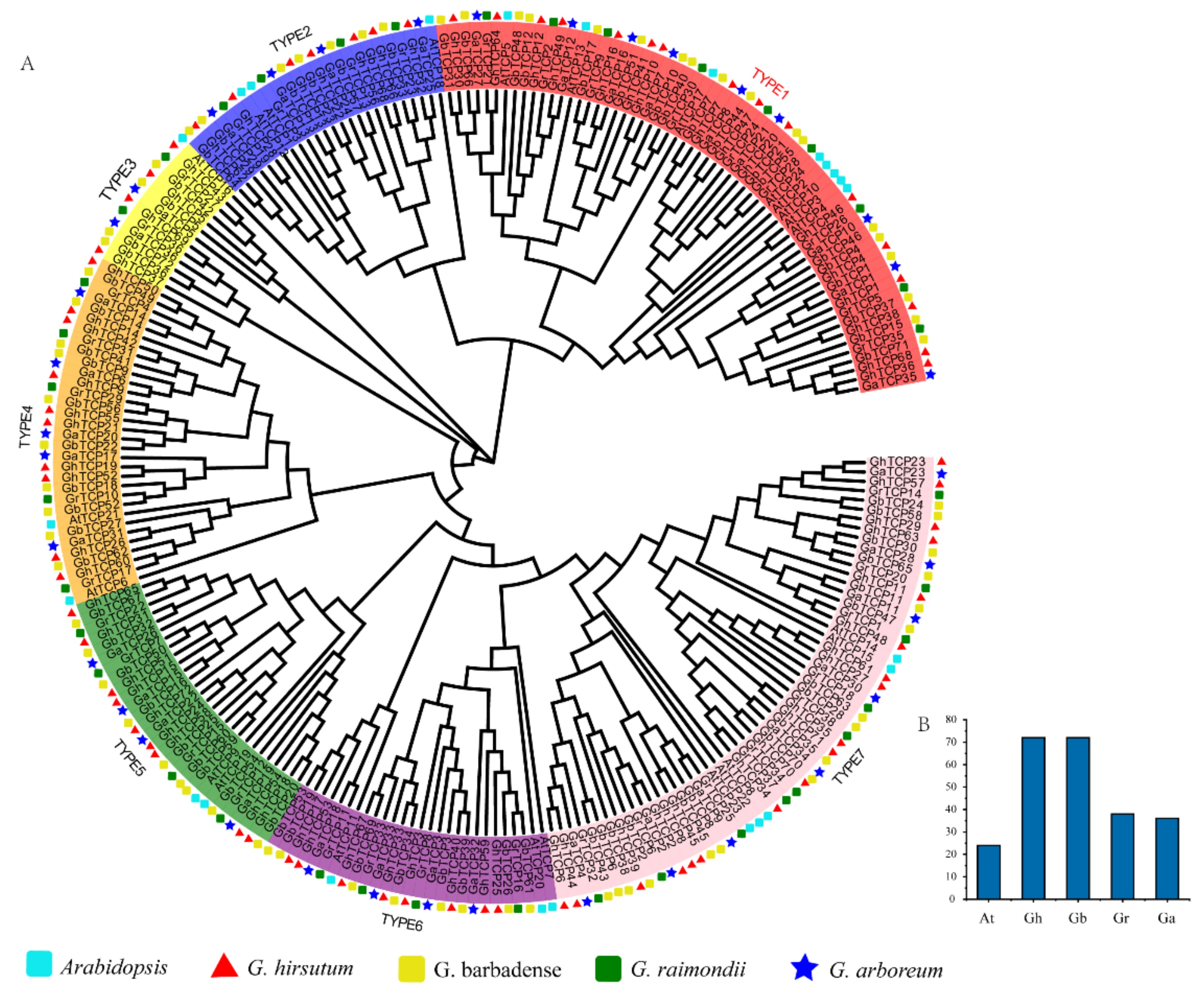 Biology 10 01104 g001