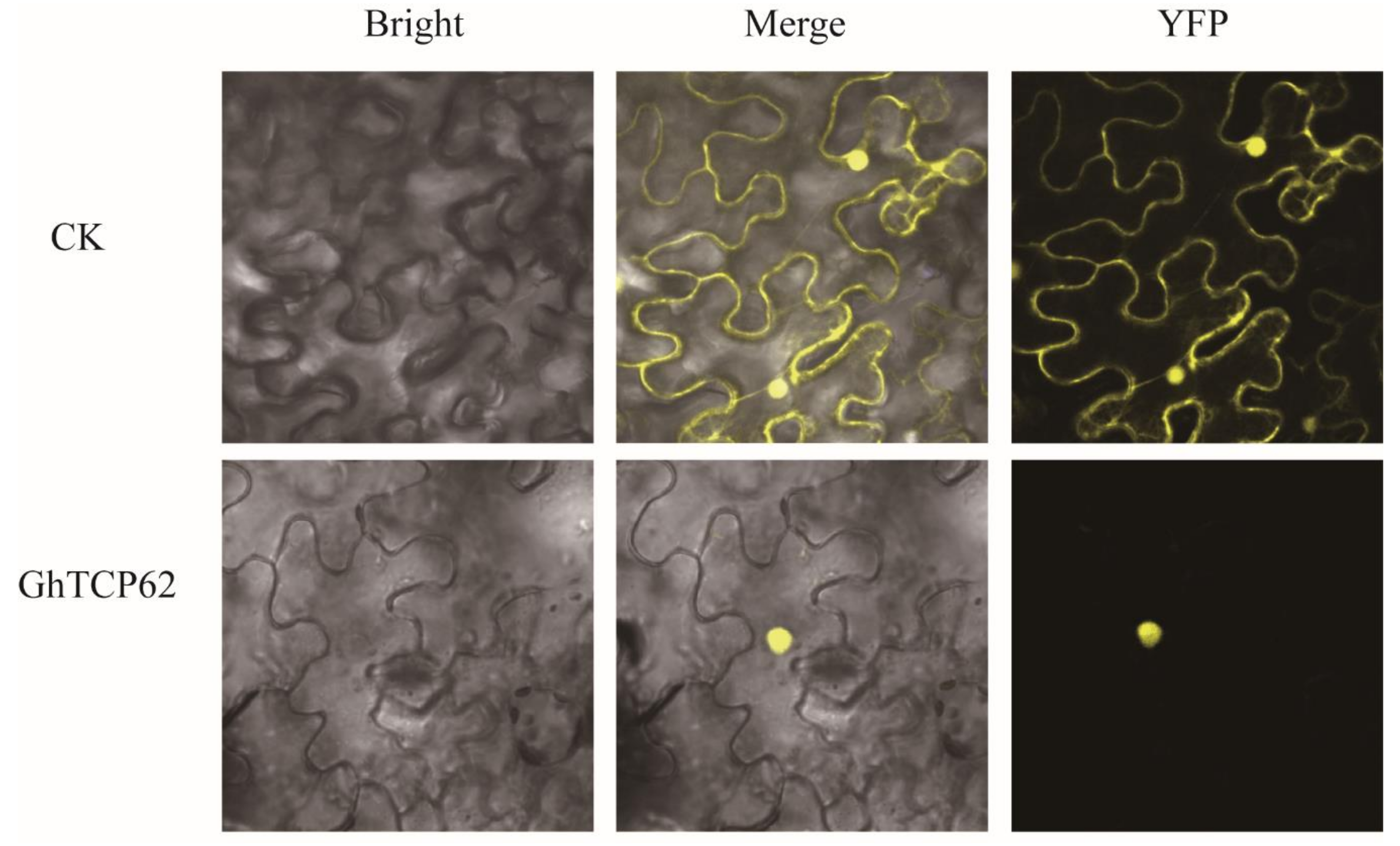 Biology 10 01104 g007