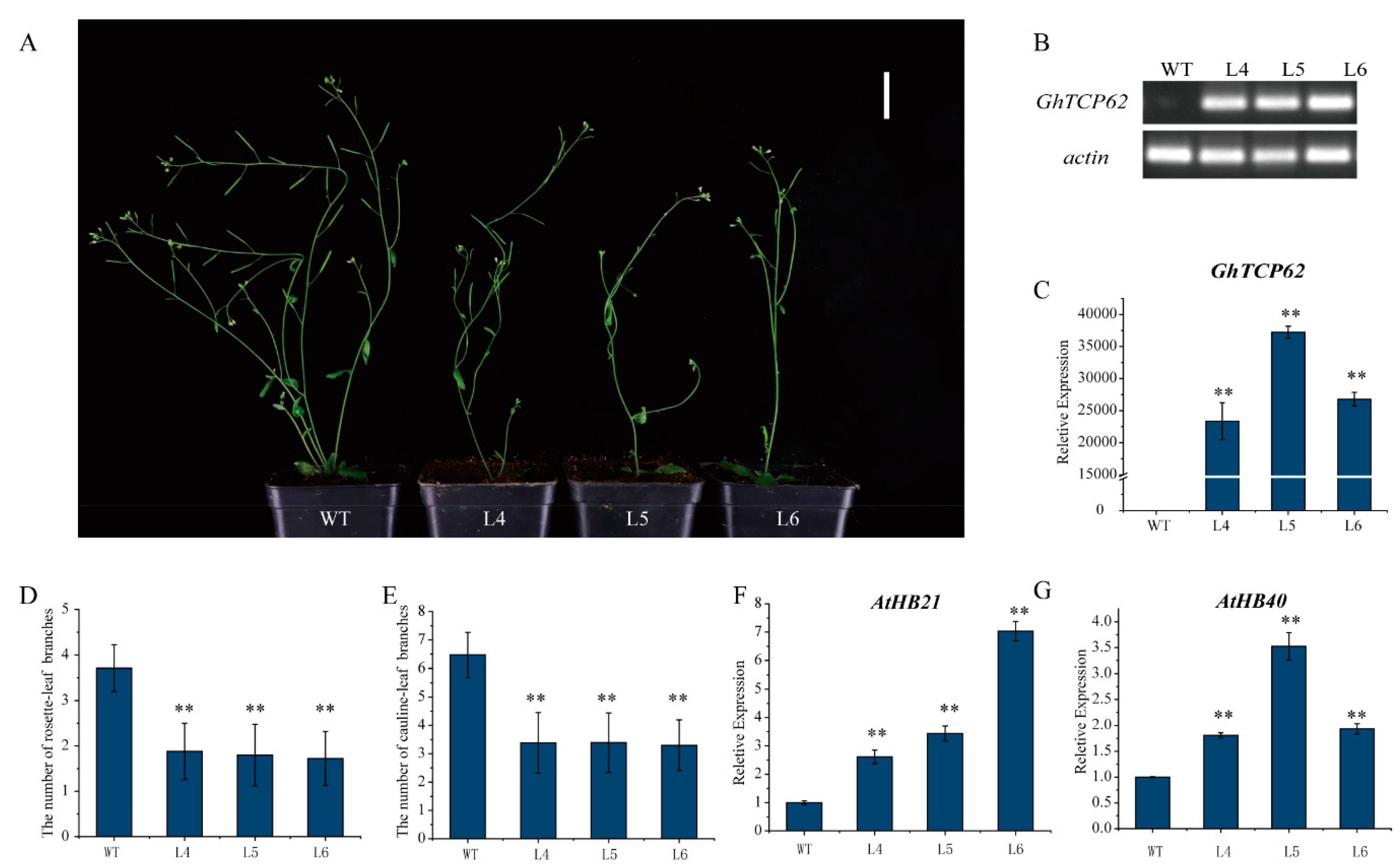 Biology 10 01104 g008