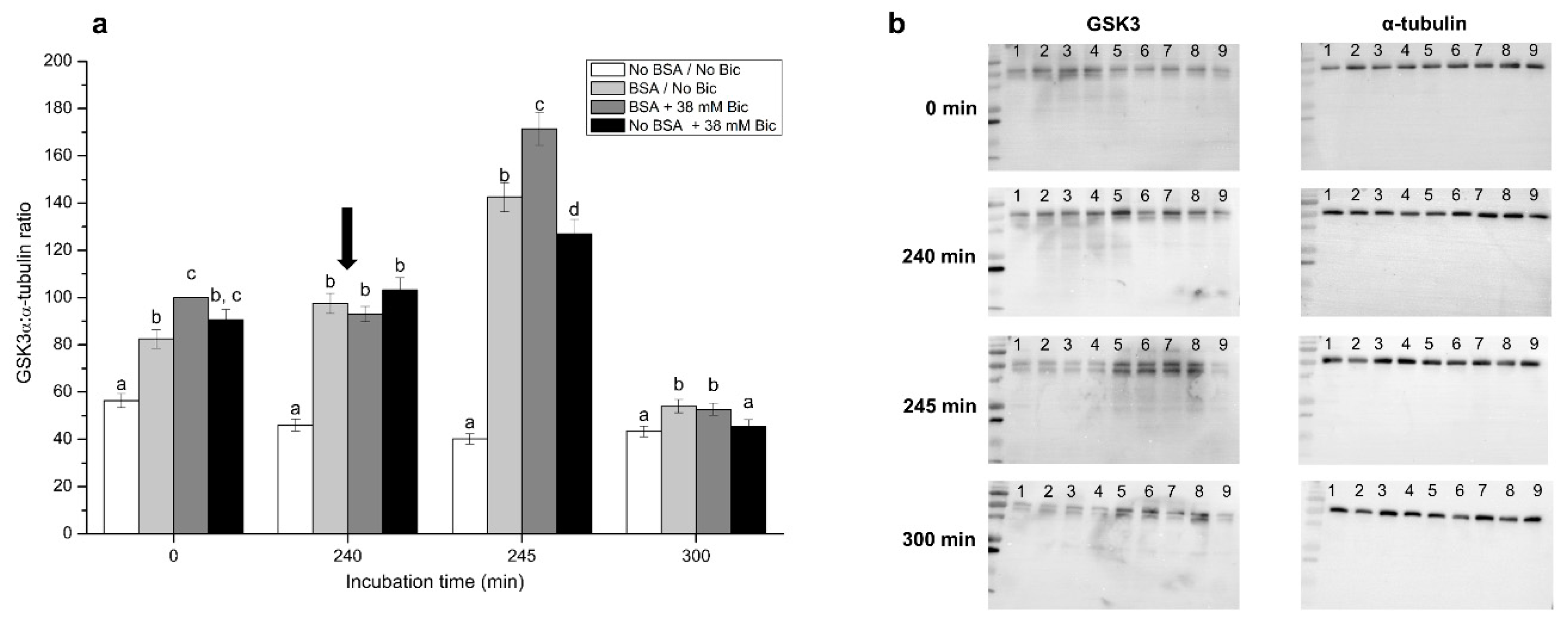Biology 10 01105 g008