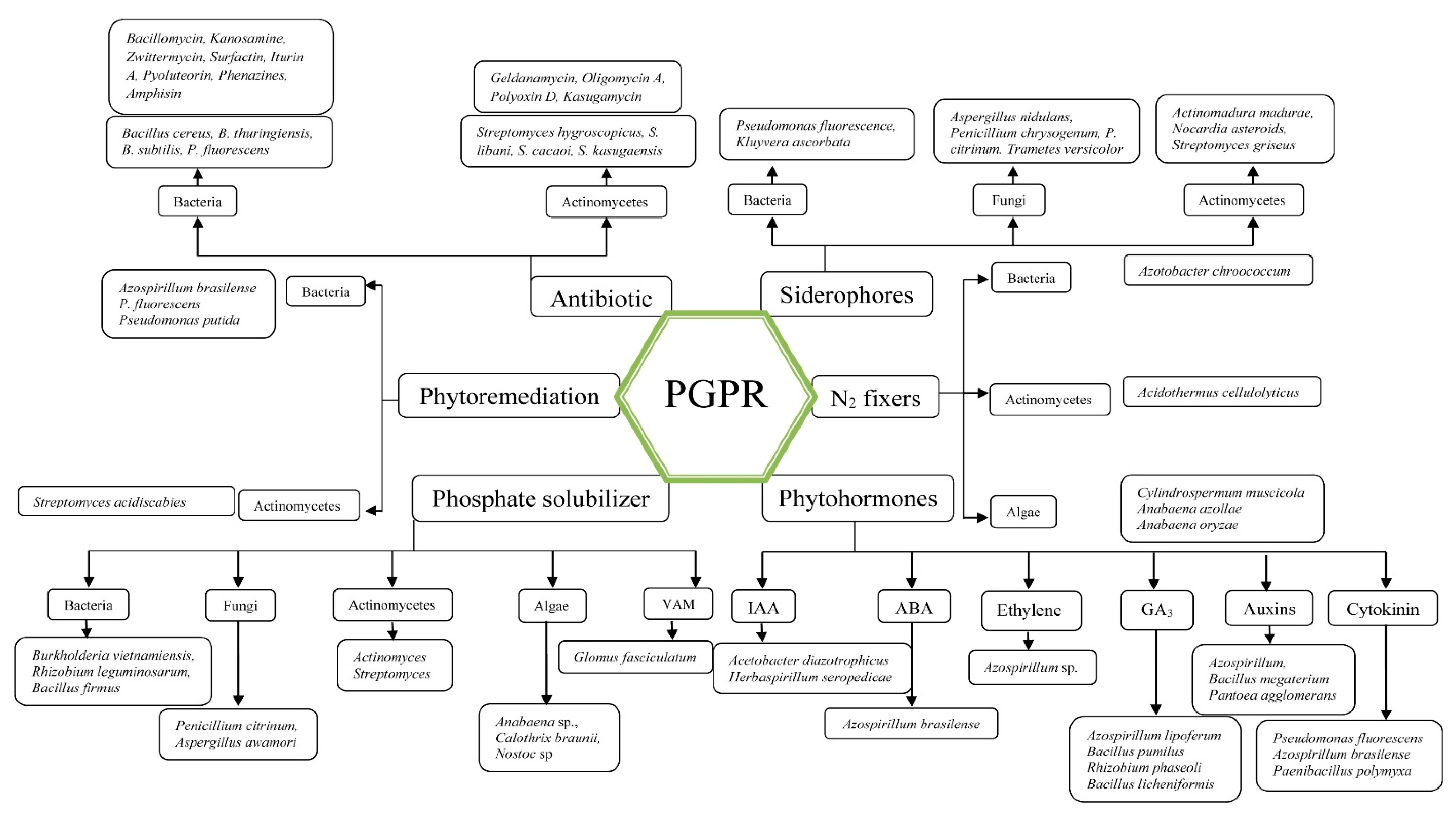 Biology 10 01111 g001 Biology 10 01111 g001