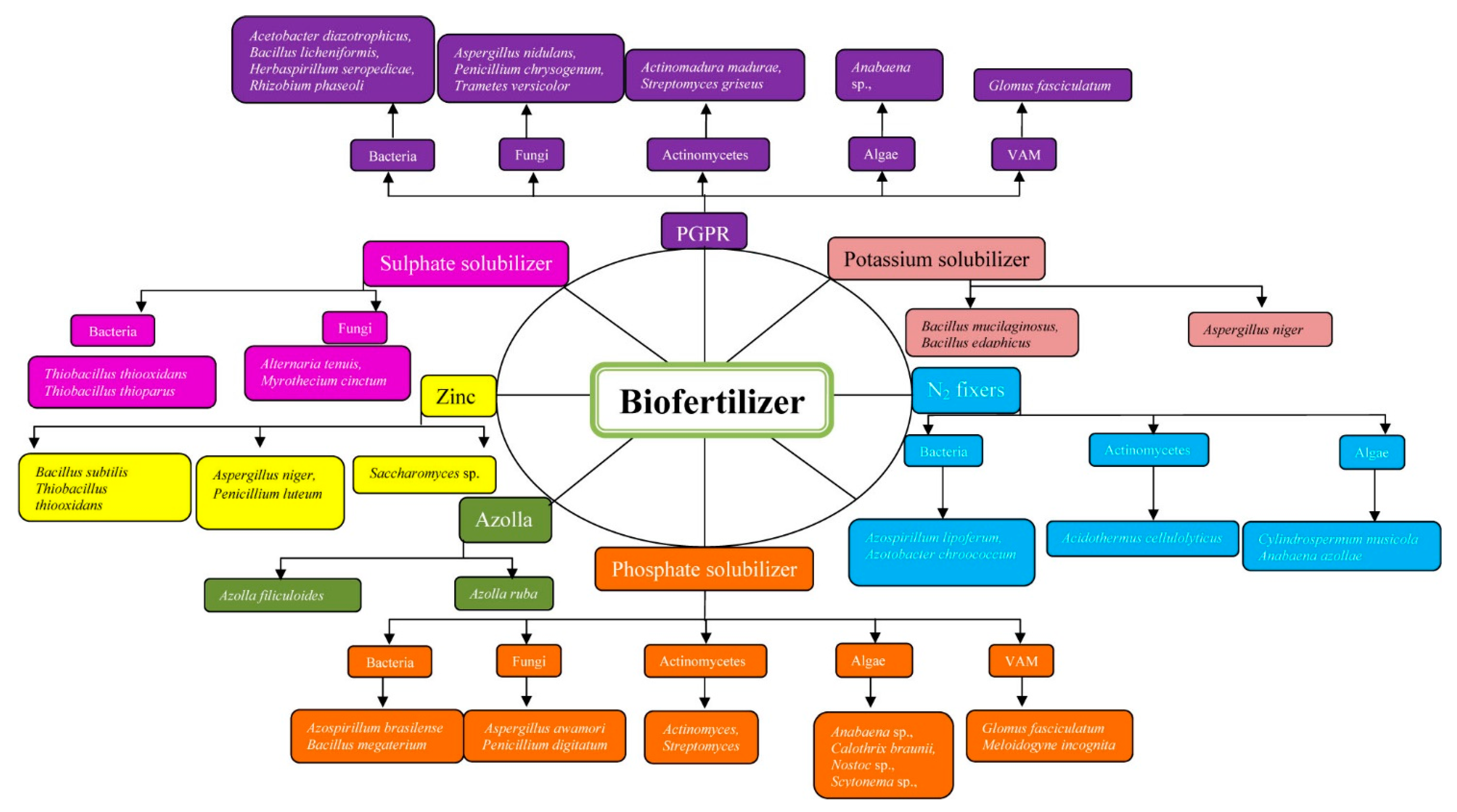 Biology 10 01111 g002 Biology 10 01111 g002