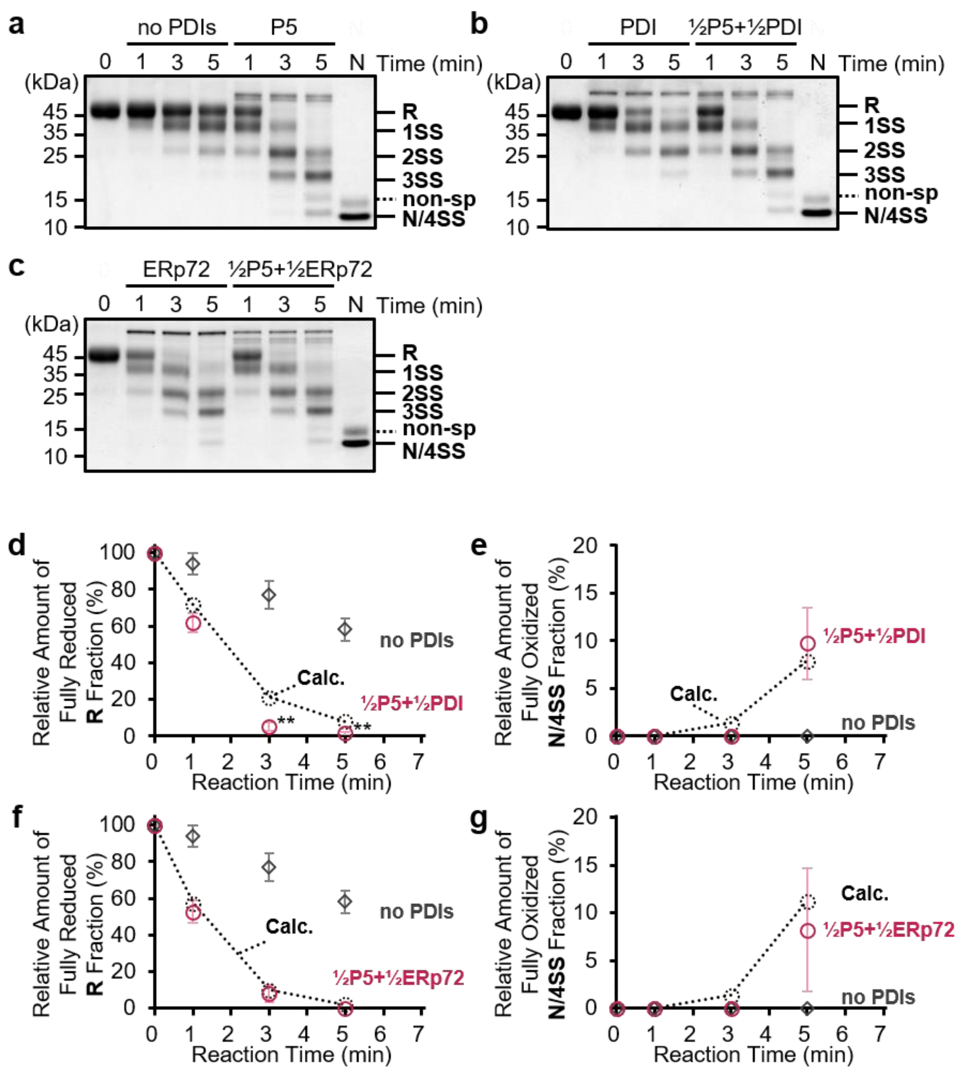 Biology 10 01112 g002 550