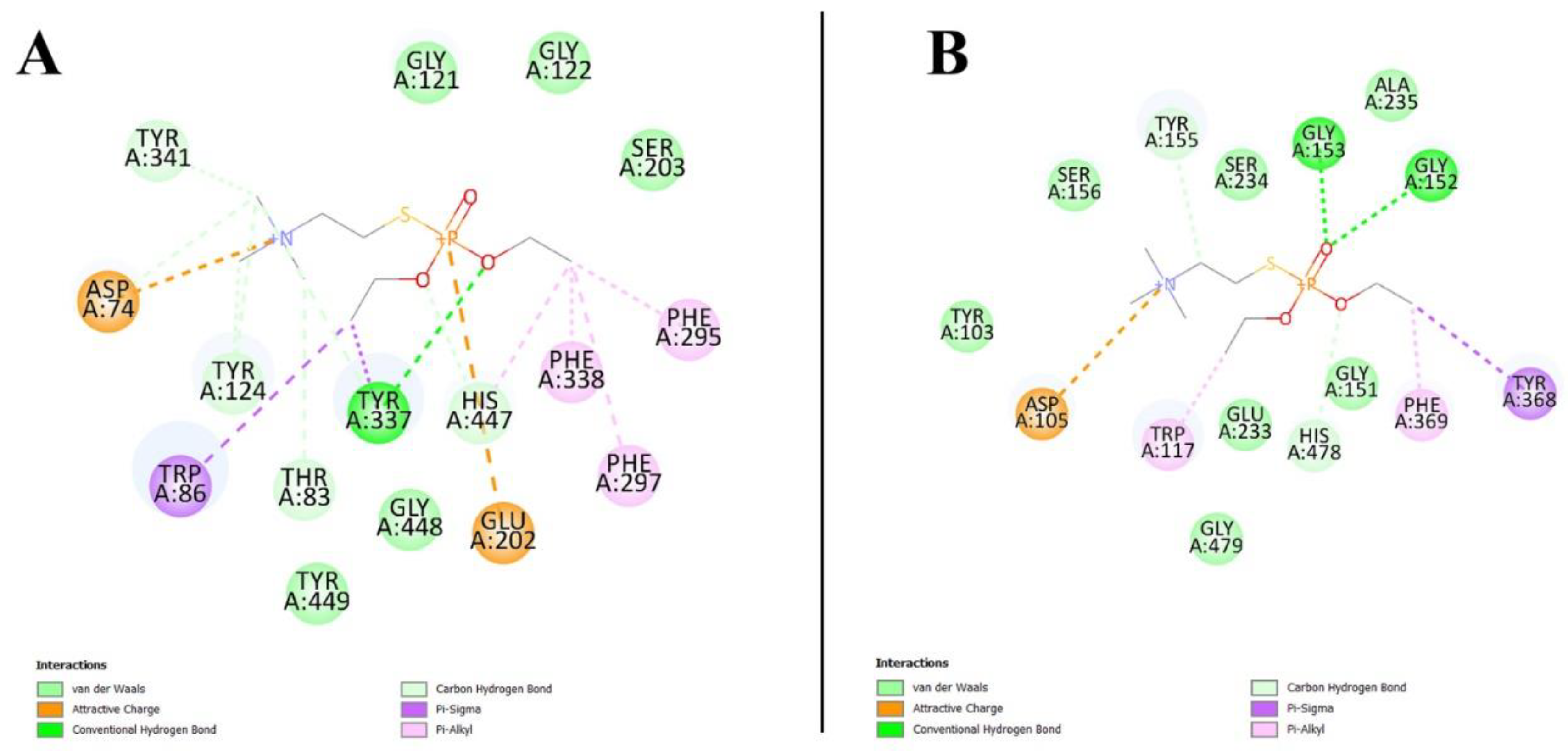 Biology 10 01113 g009