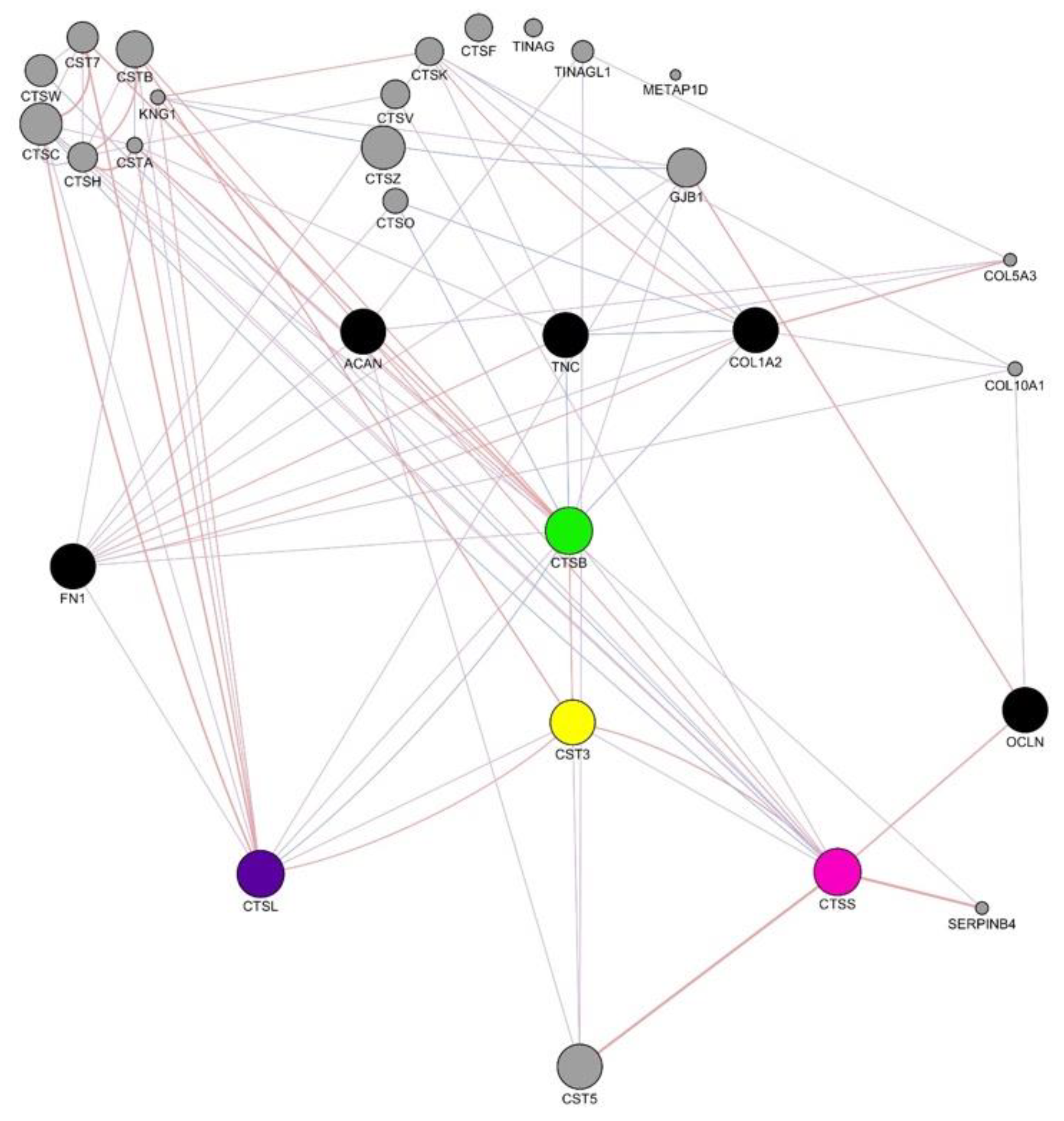 Biology 10 01113 g011