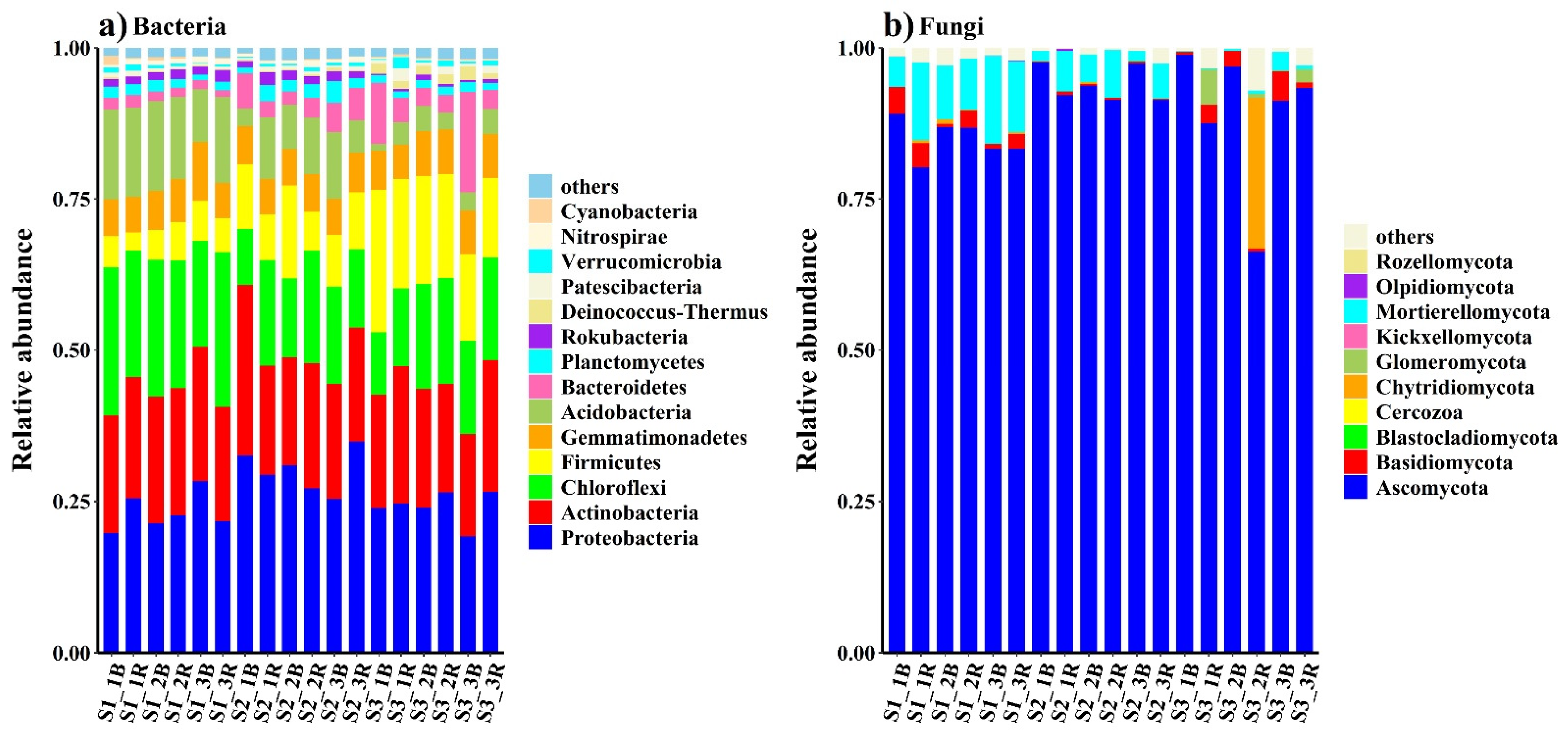 Biology 10 01114 g001