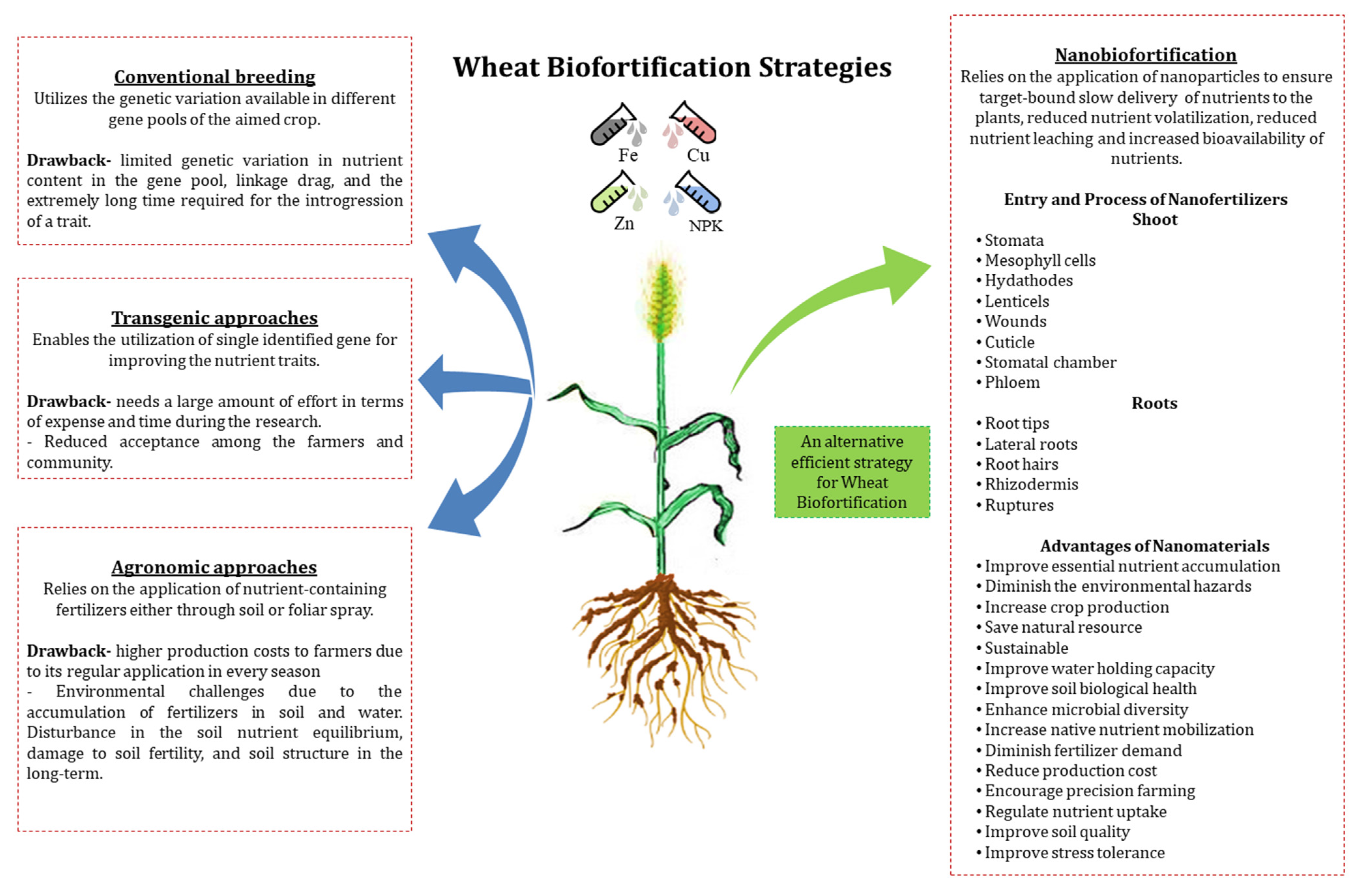 Biology 10 01123 g001