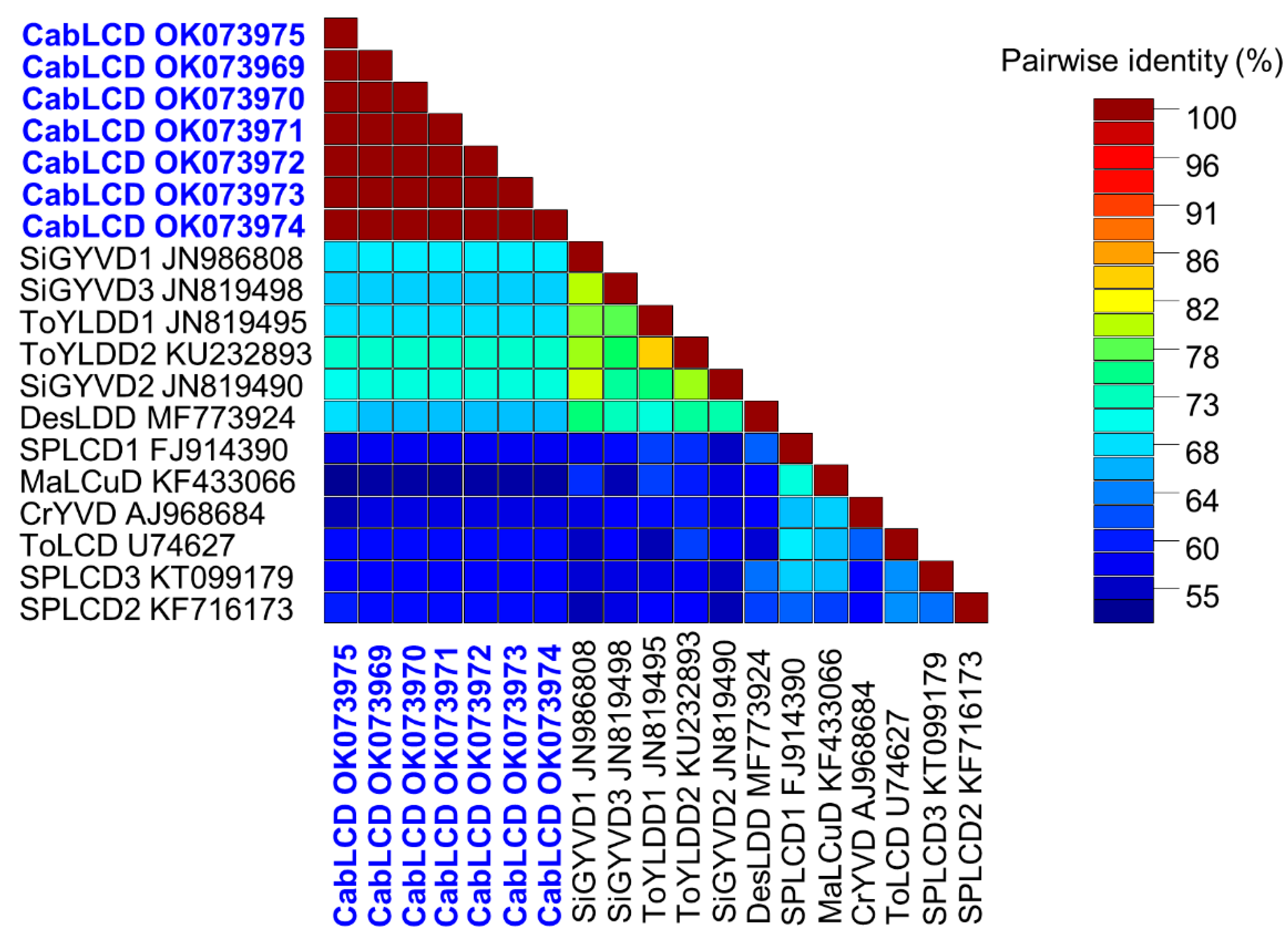 Biology 10 01125 g004 Biology 10 01125 g004