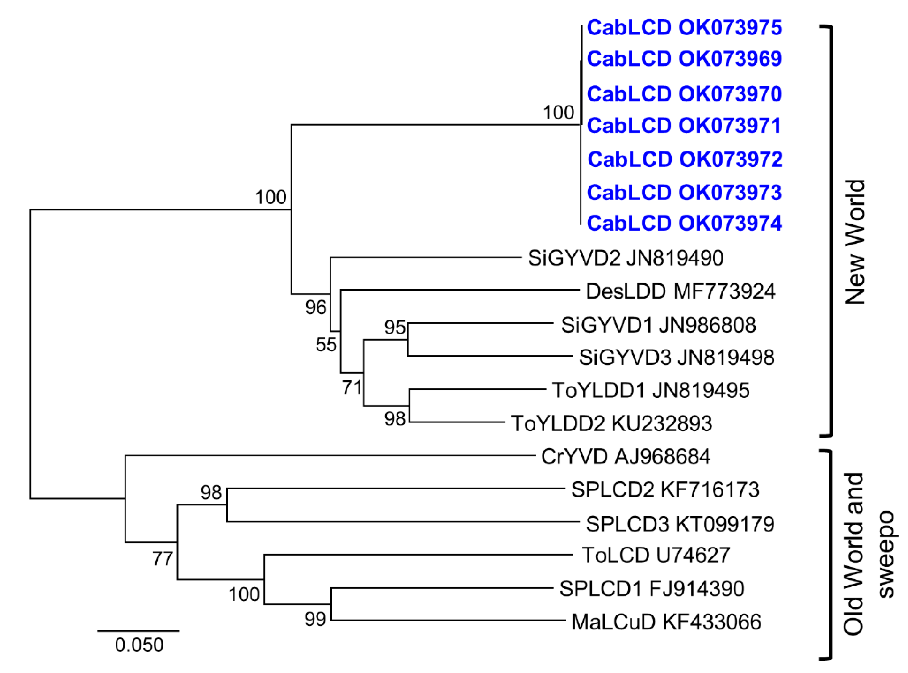 Biology 10 01125 g006 Biology 10 01125 g006