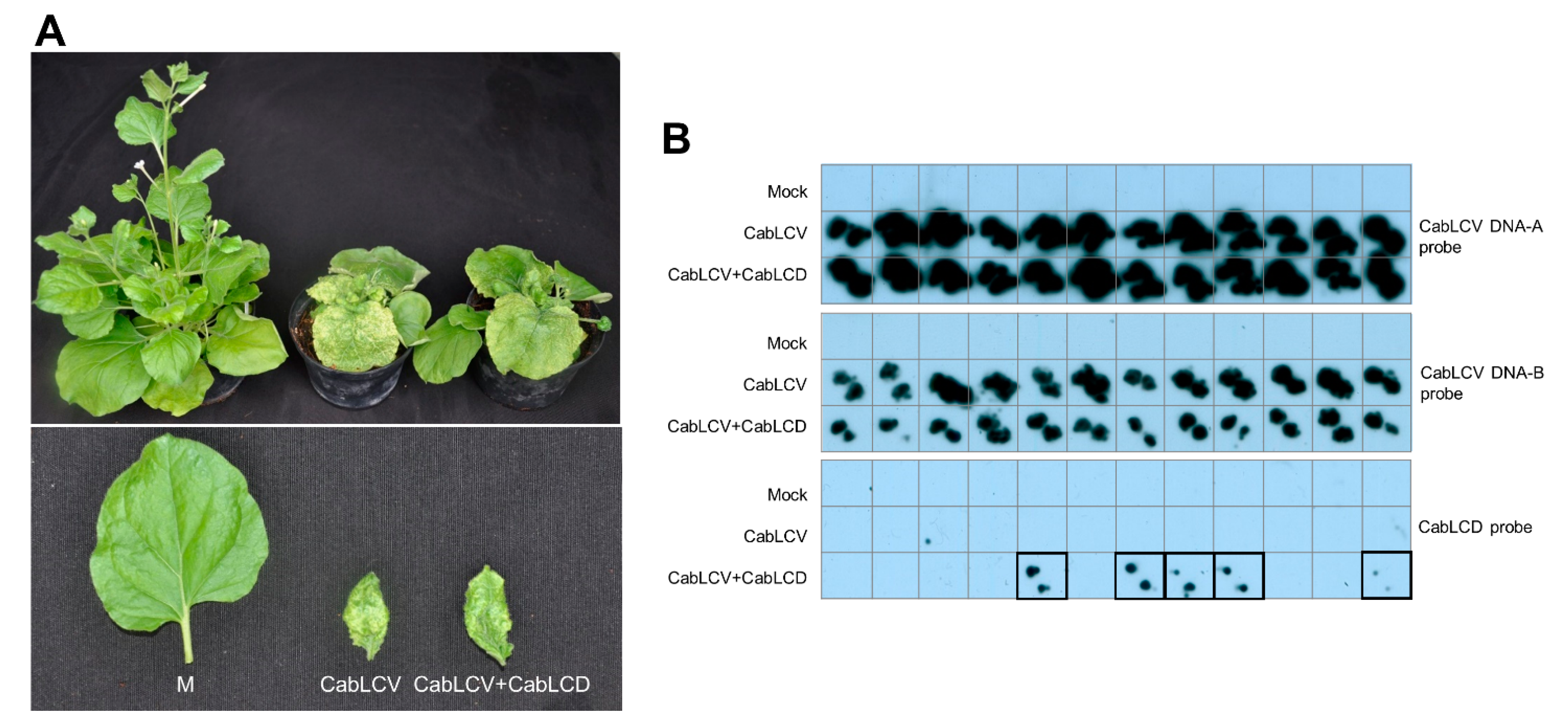 Biology 10 01125 g007 Biology 10 01125 g007