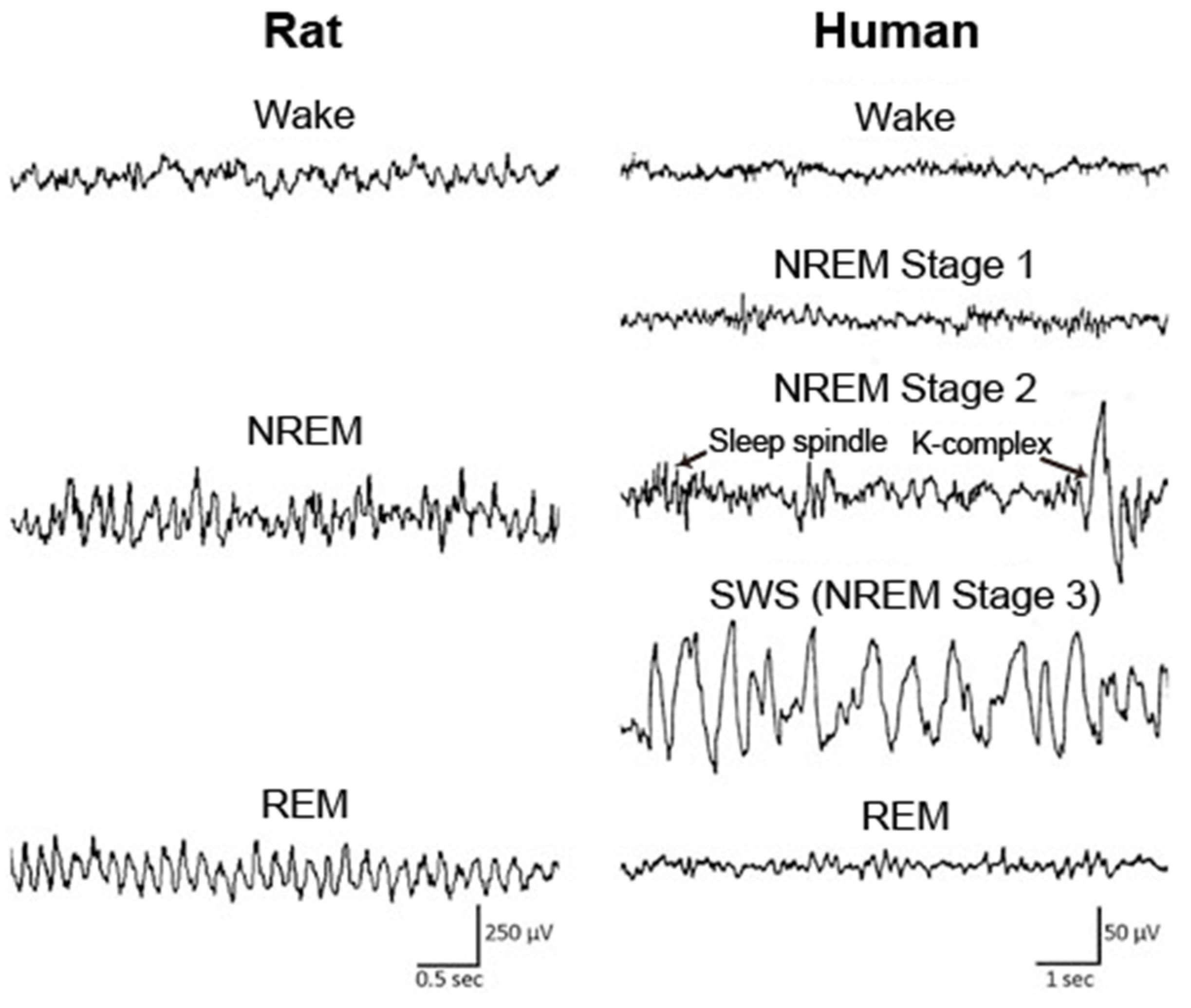 Biology 10 01127 g001