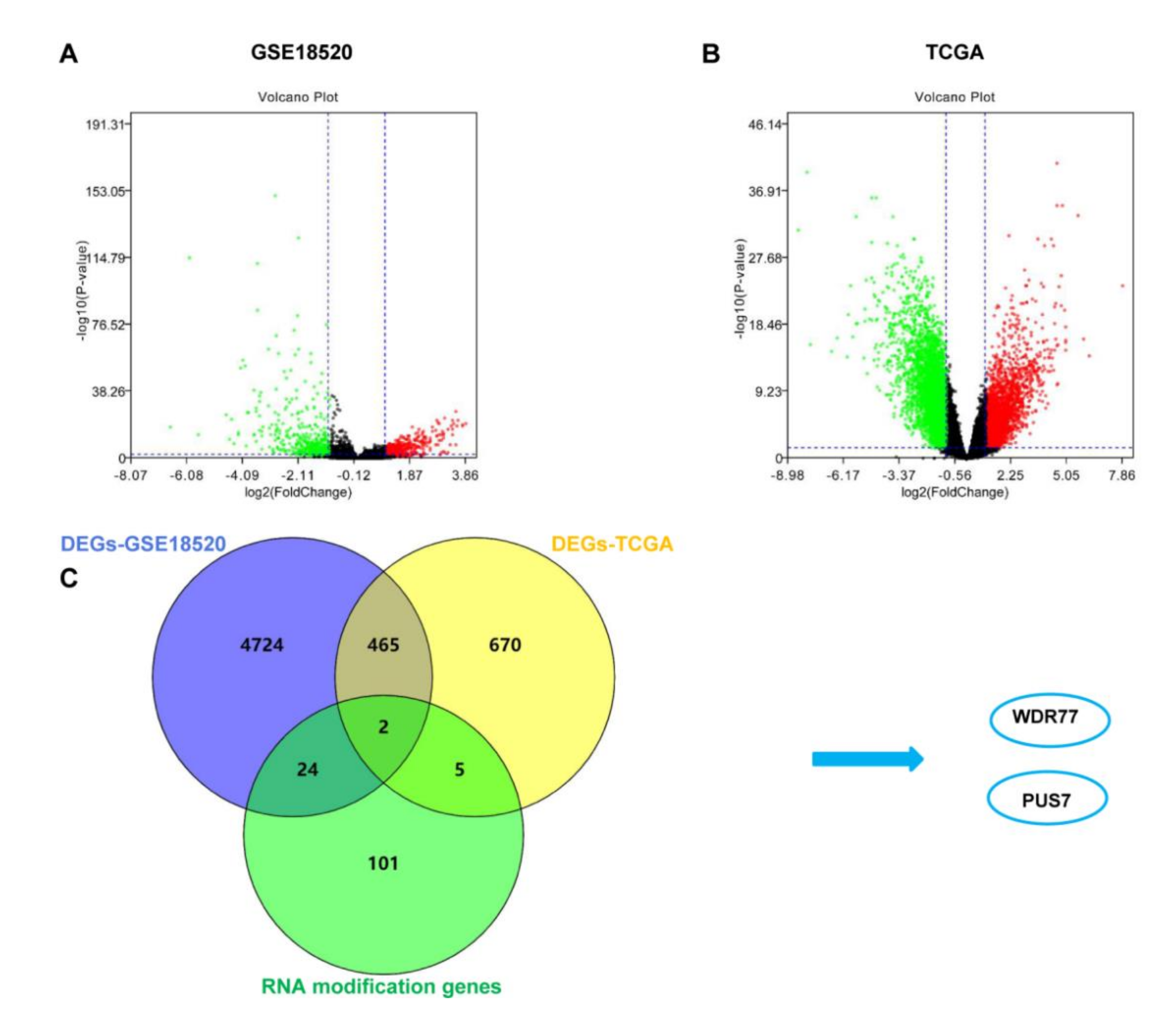 Biology 10 01130 g001