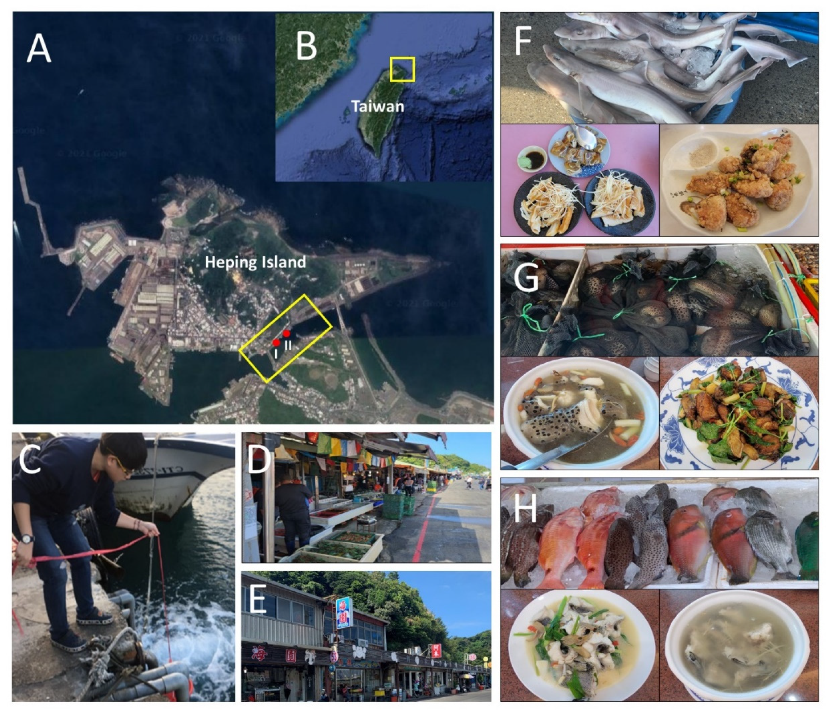 Biology 10 01132 g001