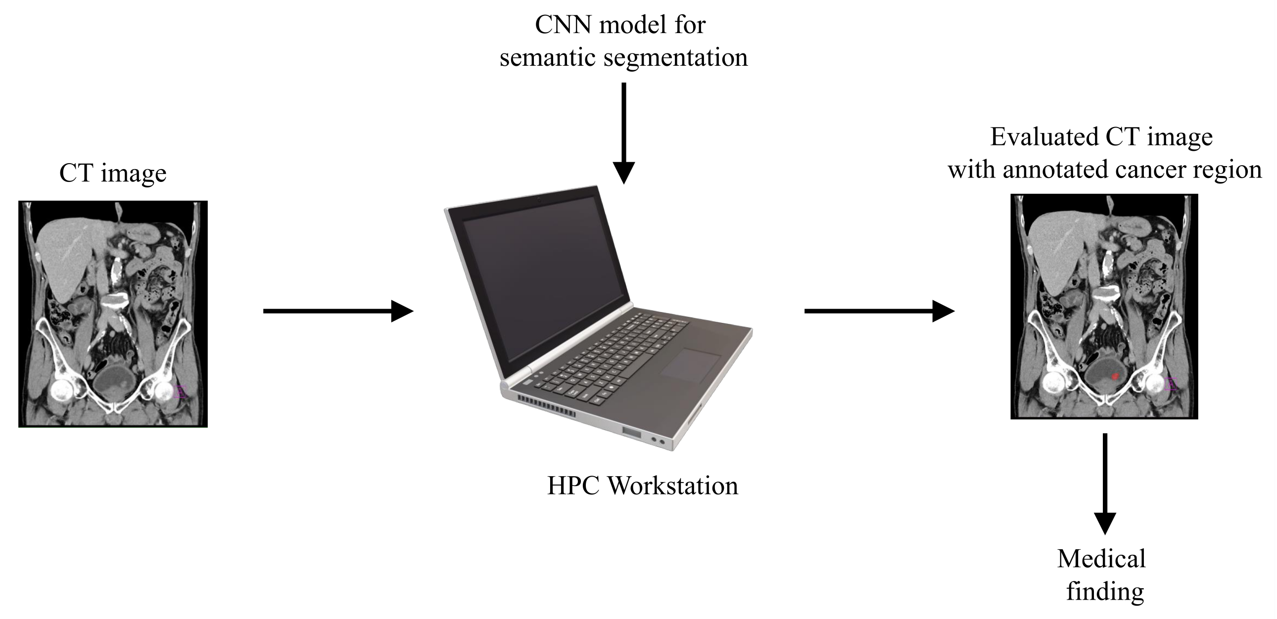 Biology 10 01134 g001 550