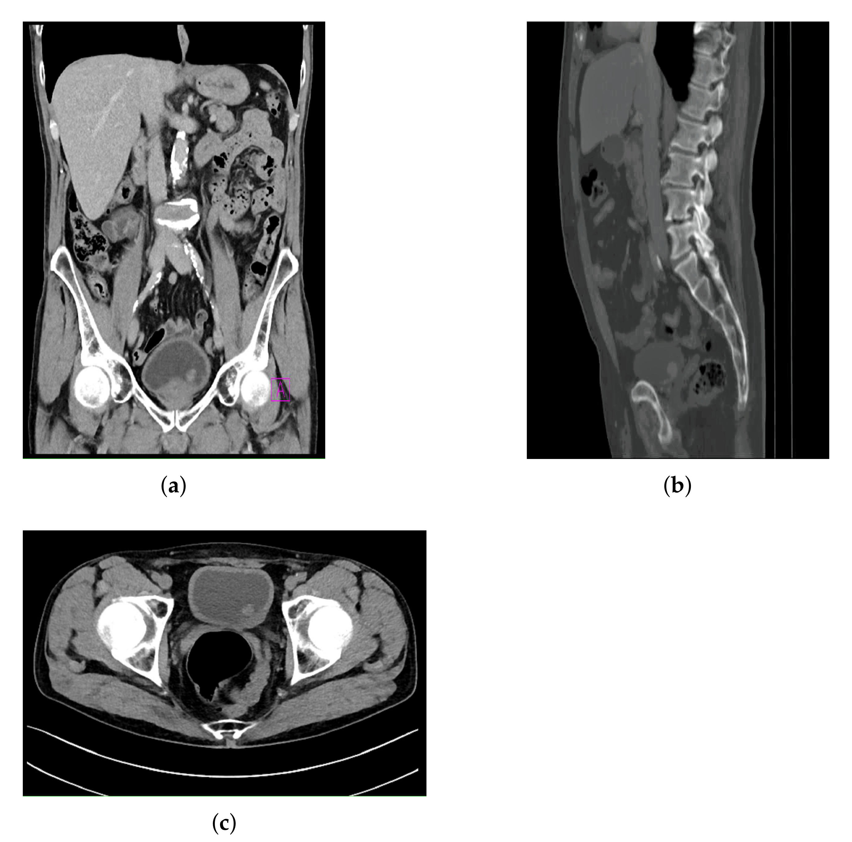 Biology 10 01134 g002 550