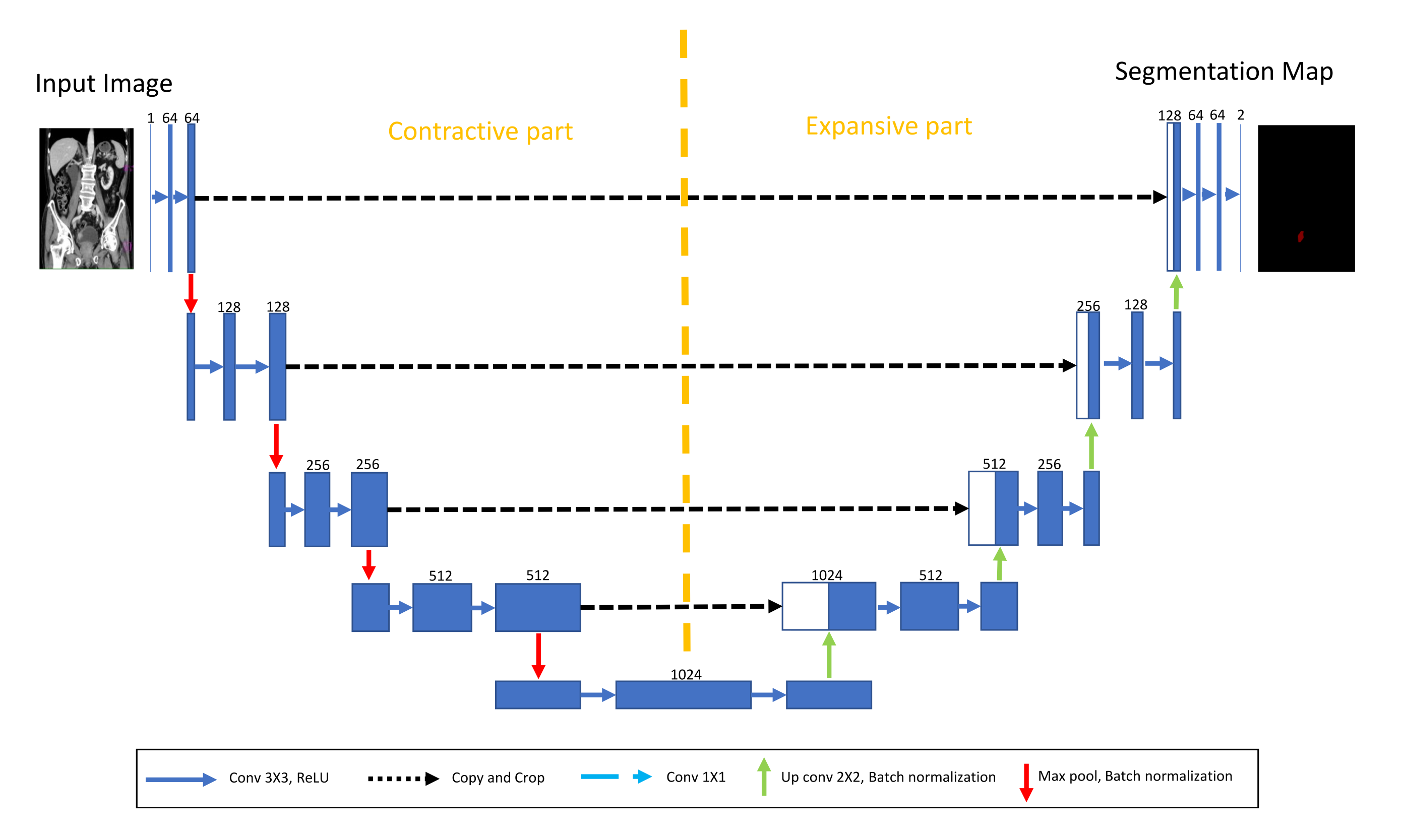 Biology 10 01134 g004 550