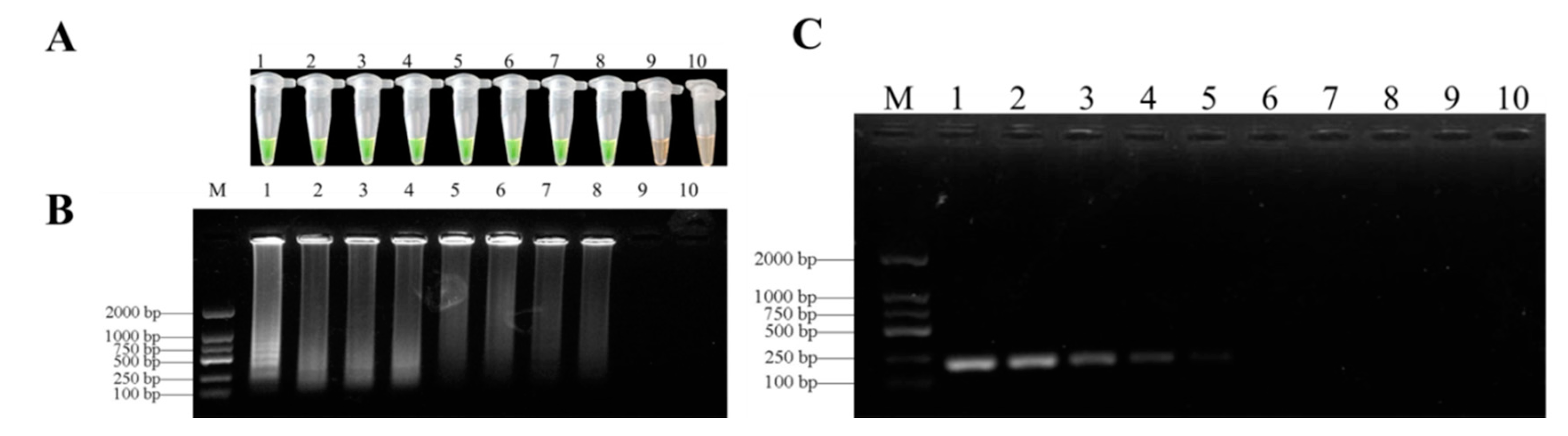 Biology 10 01136 g006