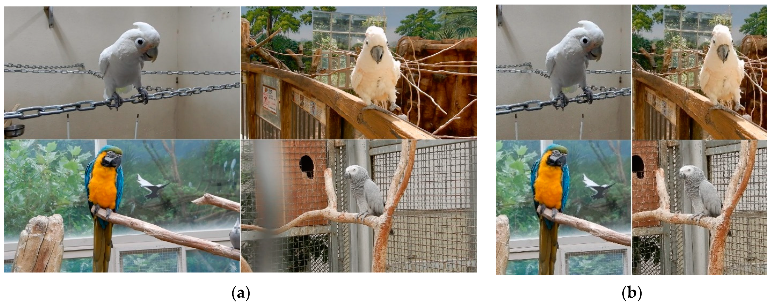 Biology 10 01140 g001