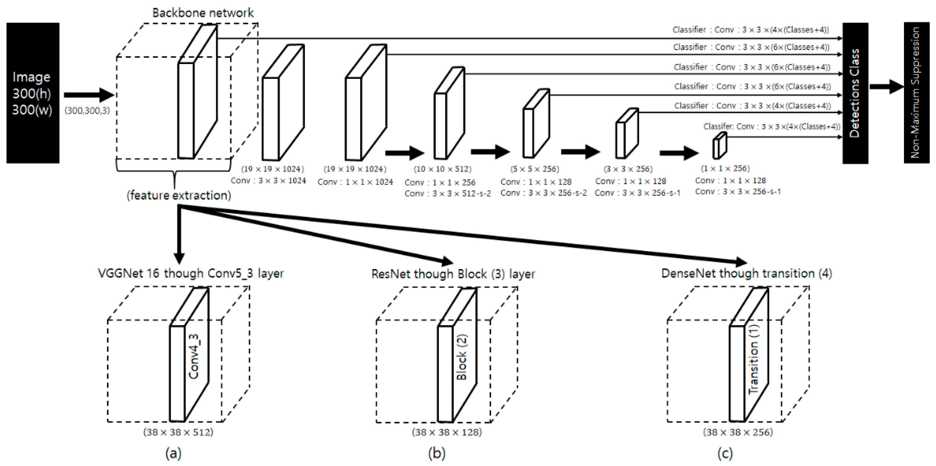 Biology 10 01140 g003