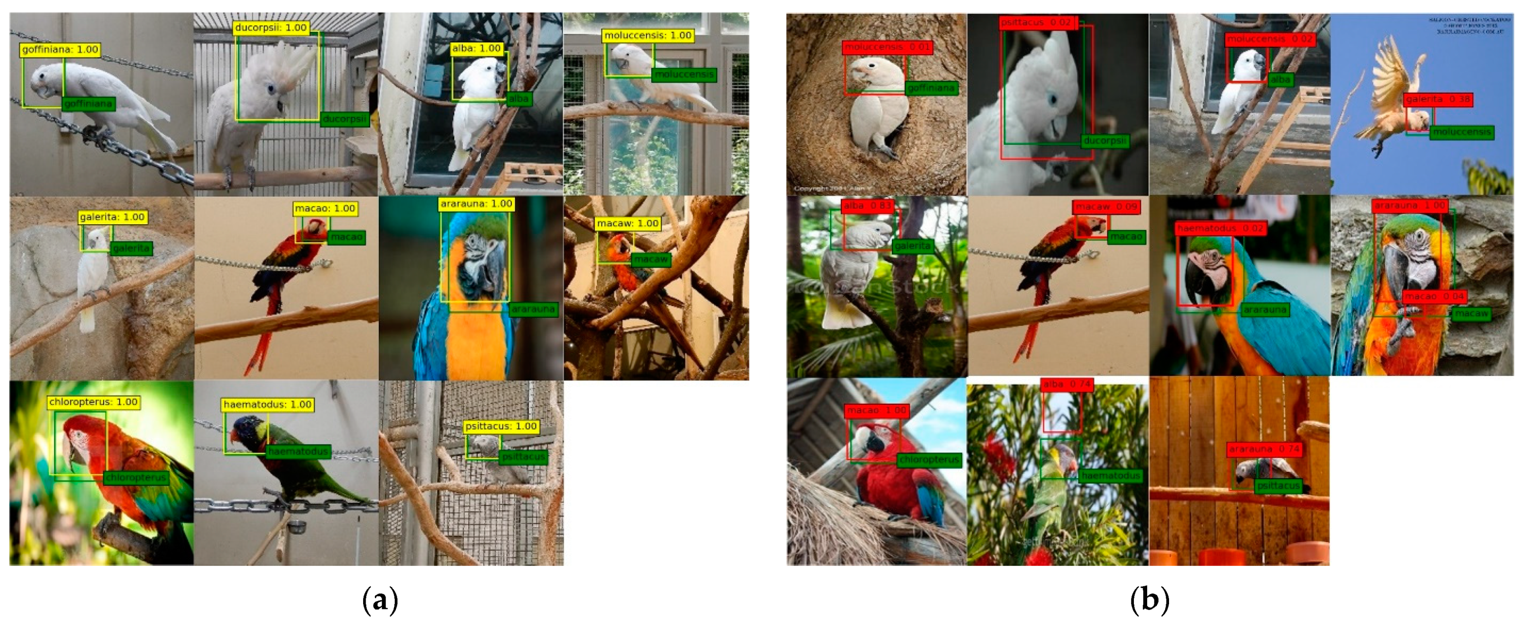 Biology 10 01140 g004