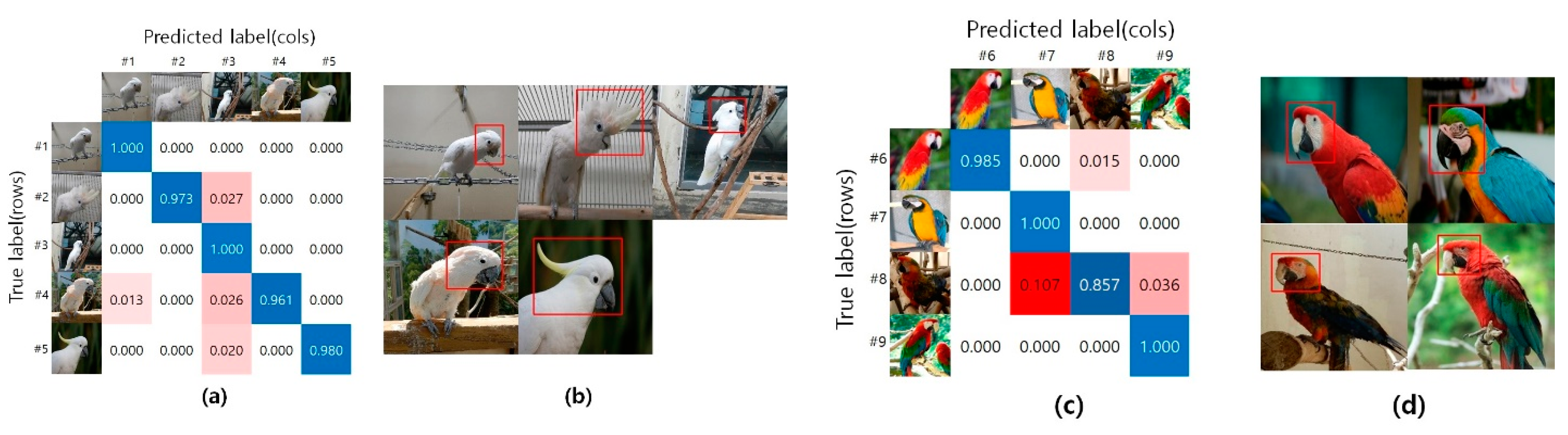 Biology 10 01140 g006
