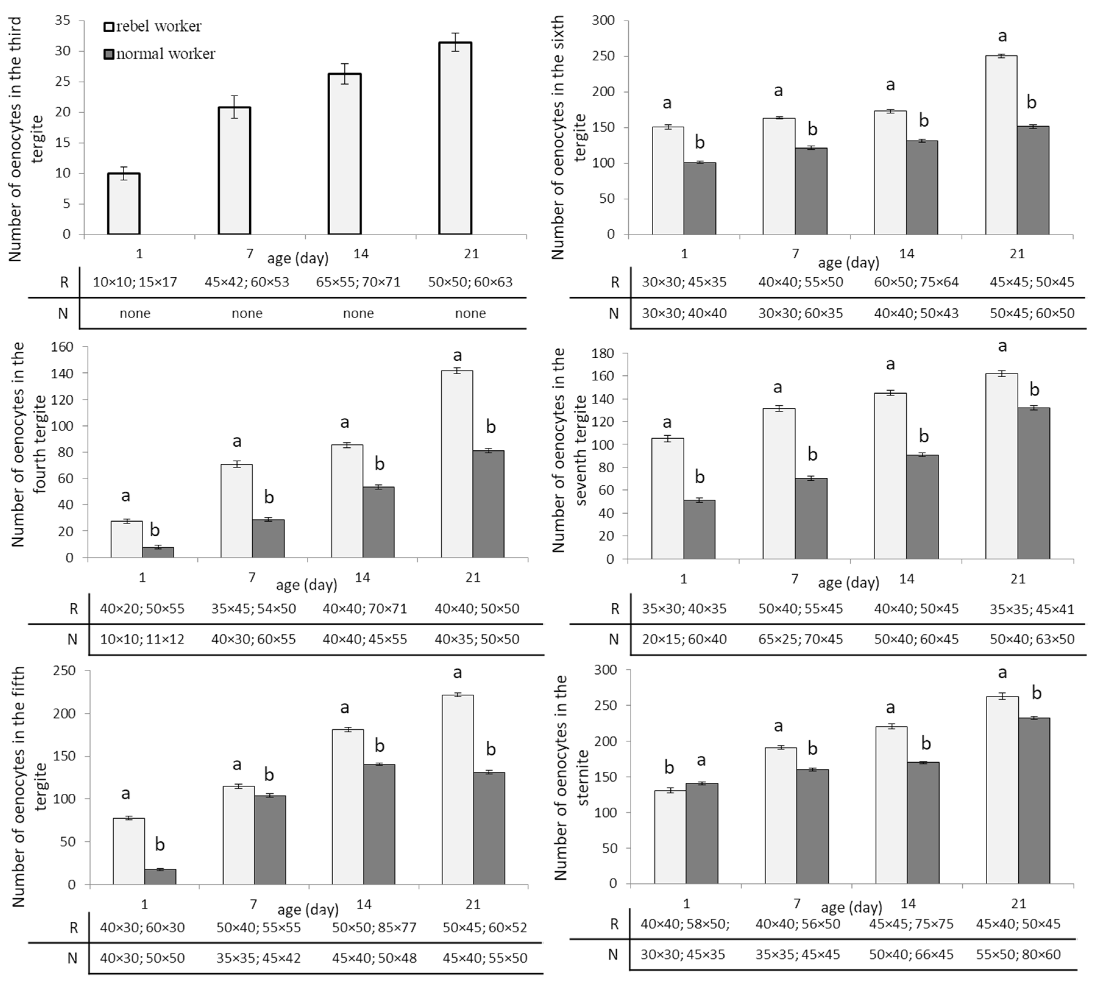 Biology 10 01146 g005 Biology 10 01146 g005